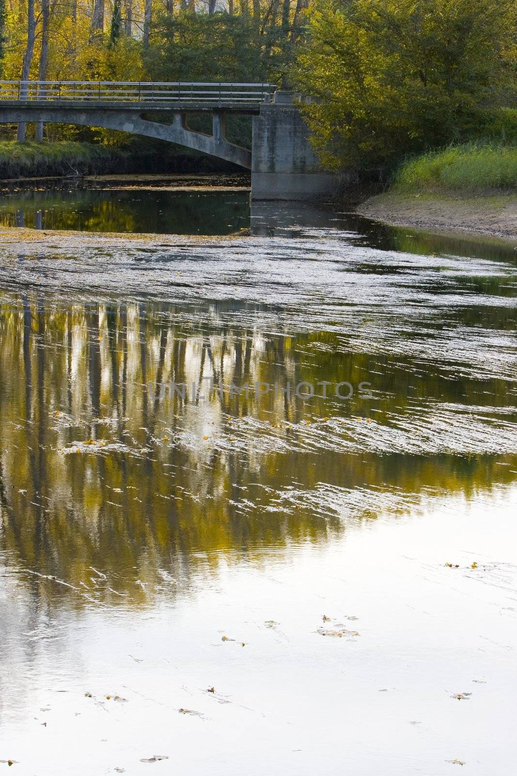 an image of a beautifull river in autumn