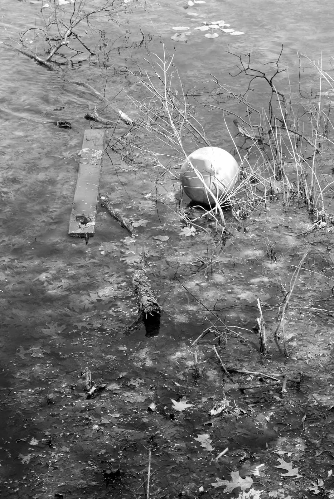 Black and white image of a ball and a piece of wood in a pond.