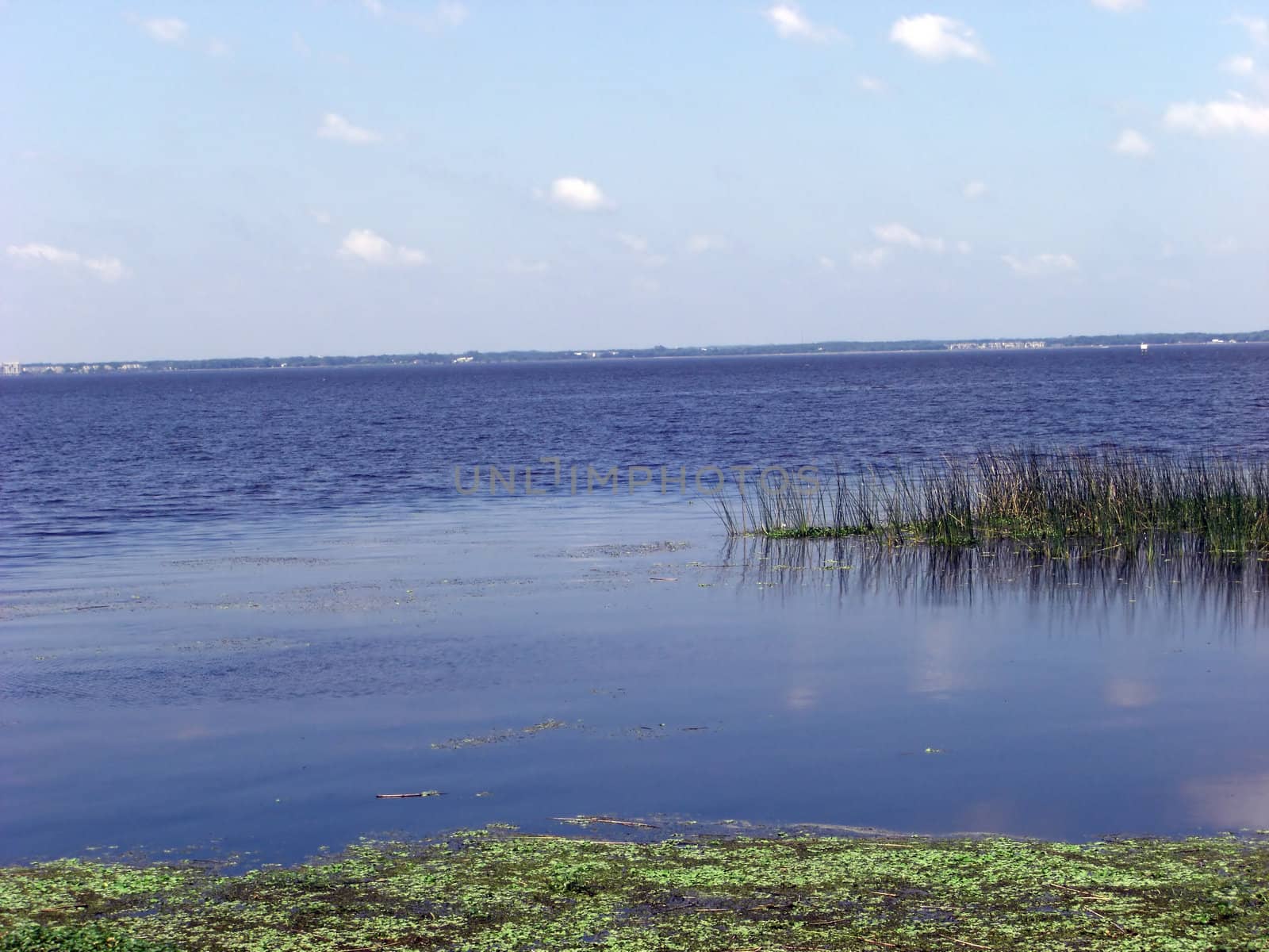 A very tranquil Lake Monroe is one of the largest lakes in Deltona Florida.