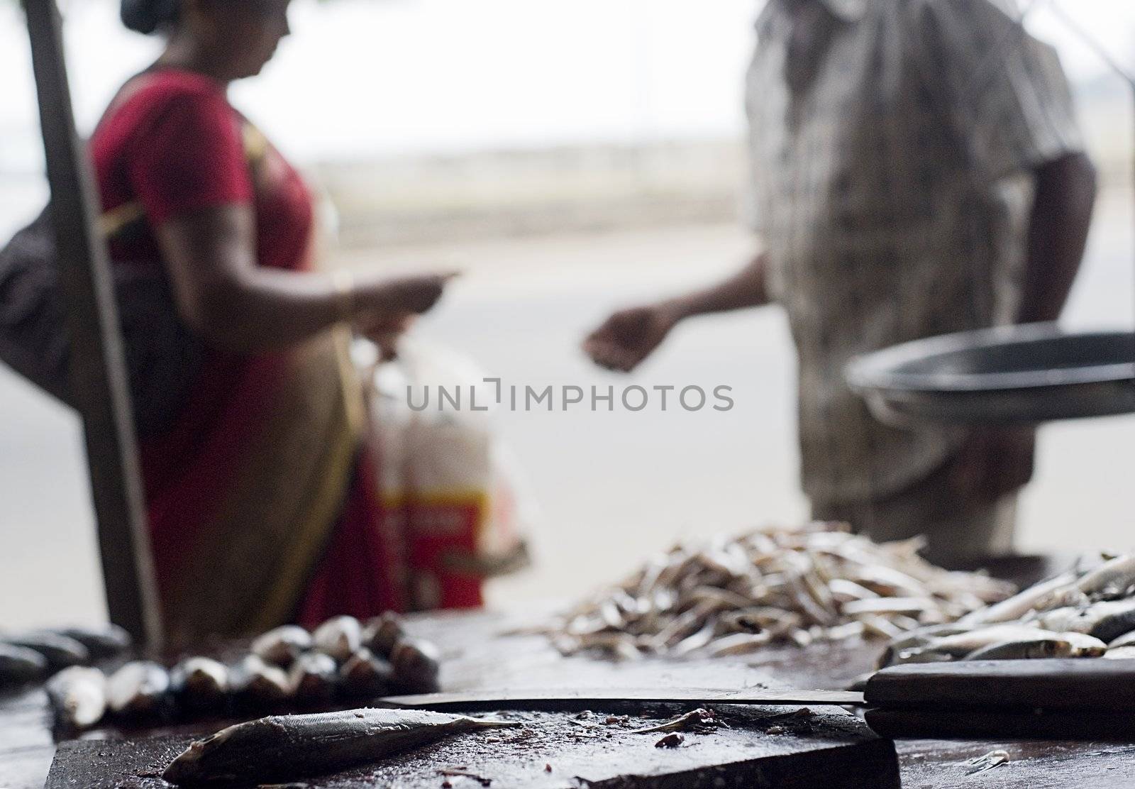 On the street fish market in Sri Lanka