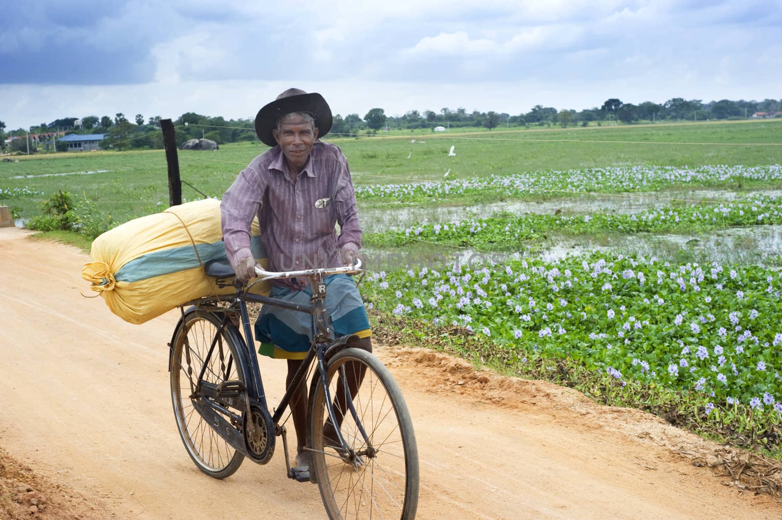 Hikkaduwa, Sri Lanka - February 15, 2011: Sri Lankan man driving bicycle by the country road.About 80 percent of Sri Lanka 's population lives in its rural areas. The rural poor account for 95 percent of the country's poor.