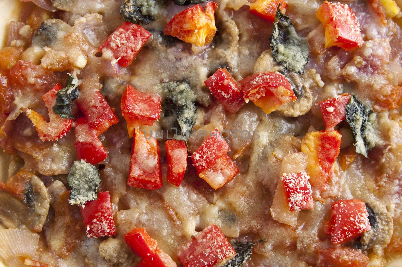Close up of vegetarian pizza