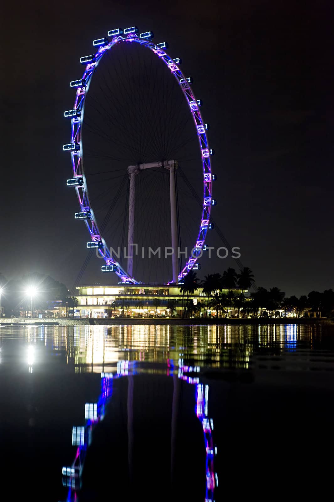 Singapore flyer, largest observation wheel in the world