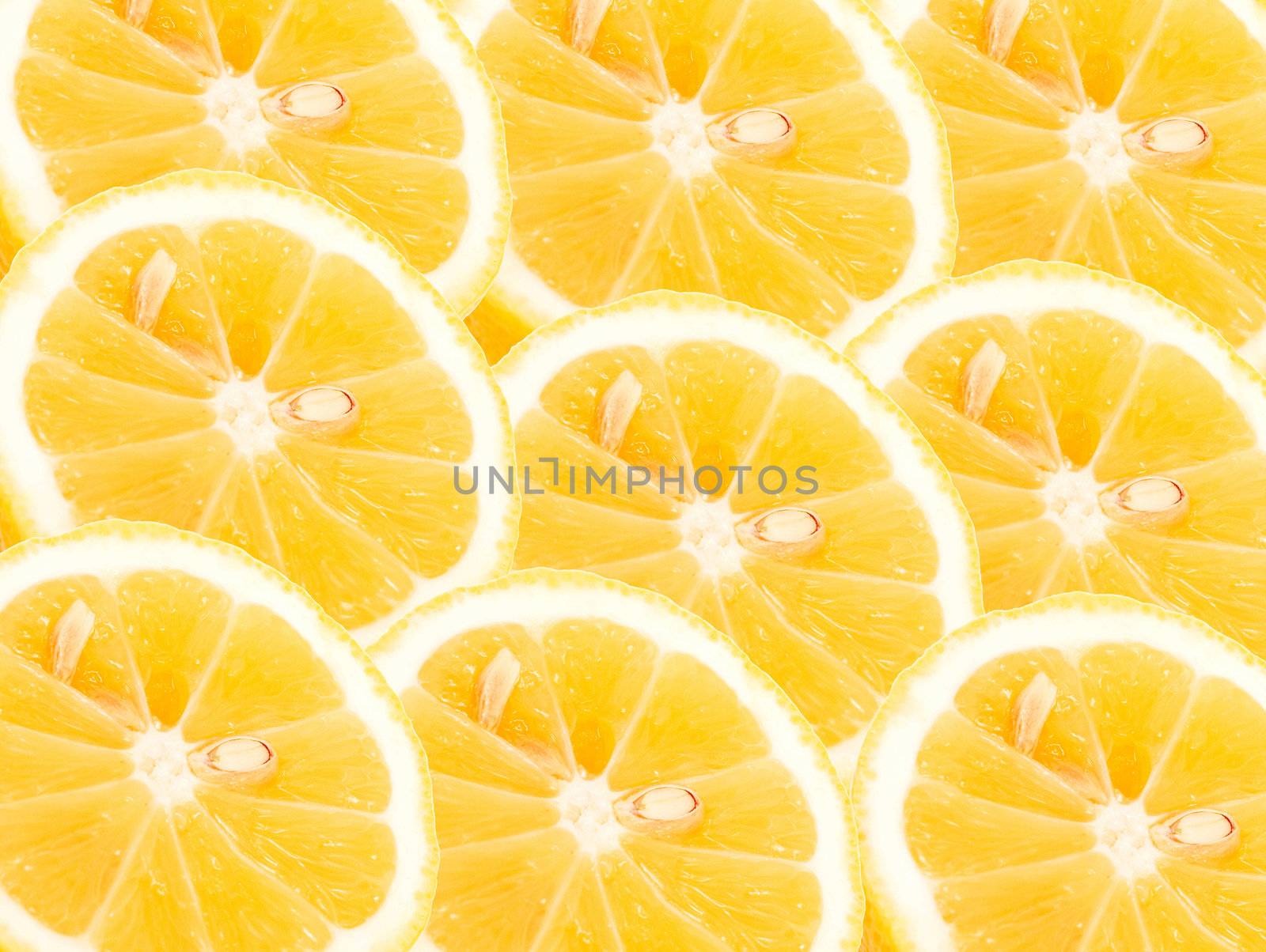 lemon by schankz