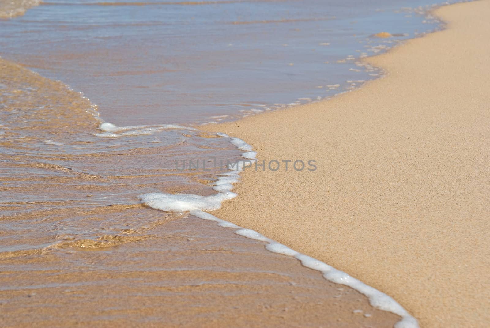 great image of a gentle peaceful wave on the beach