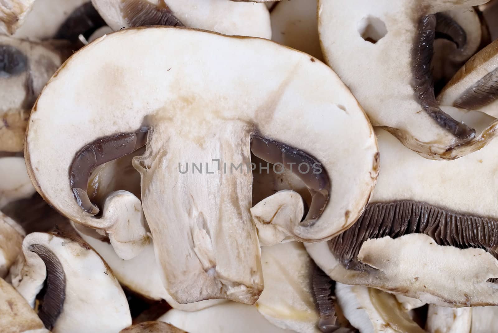 image of lots of freshly sliced mushrooms 