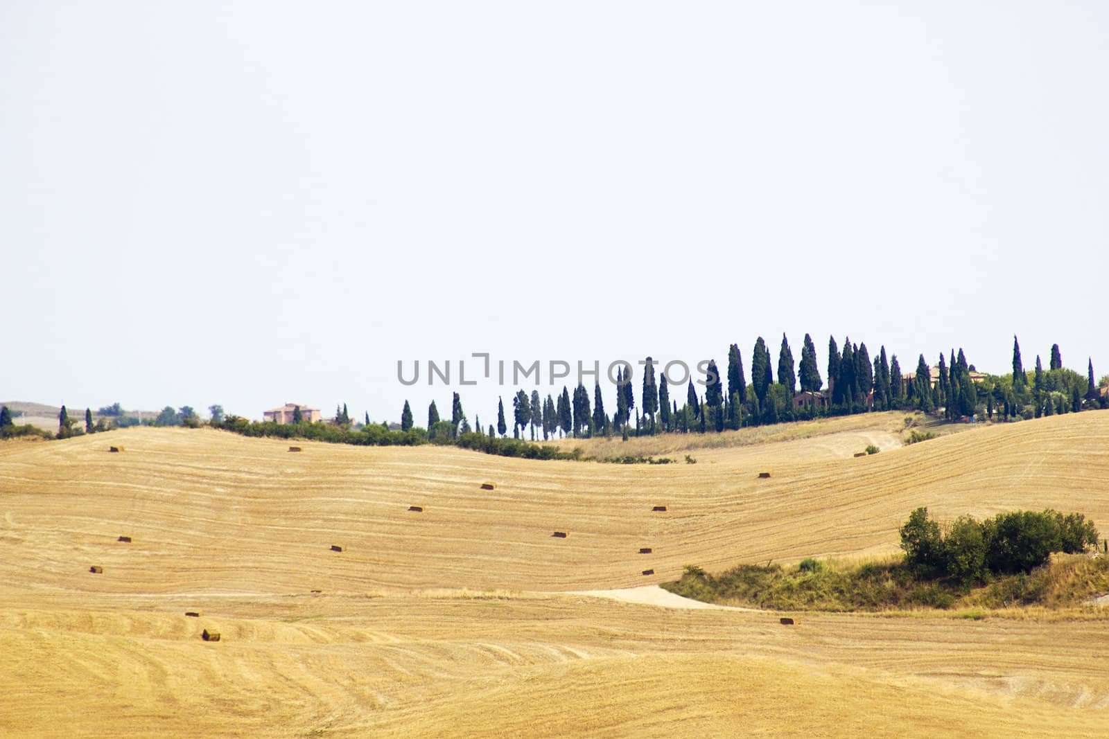 Scenic view of typical Tuscany landscape 