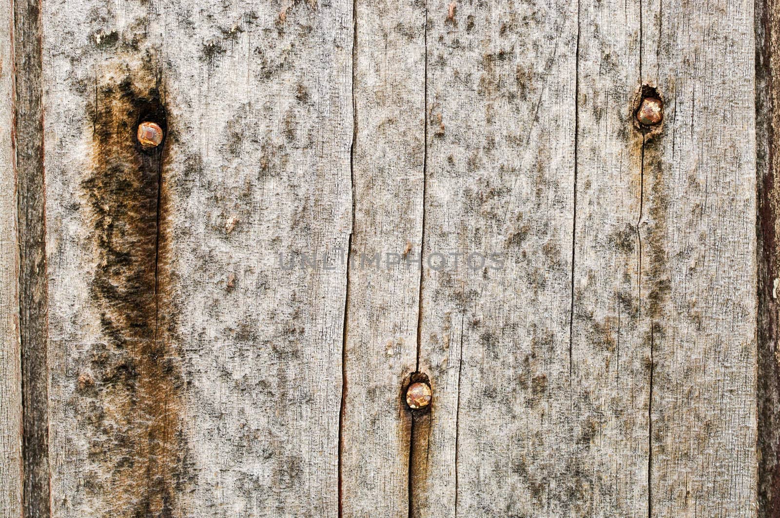 great background texture of old grungy wood