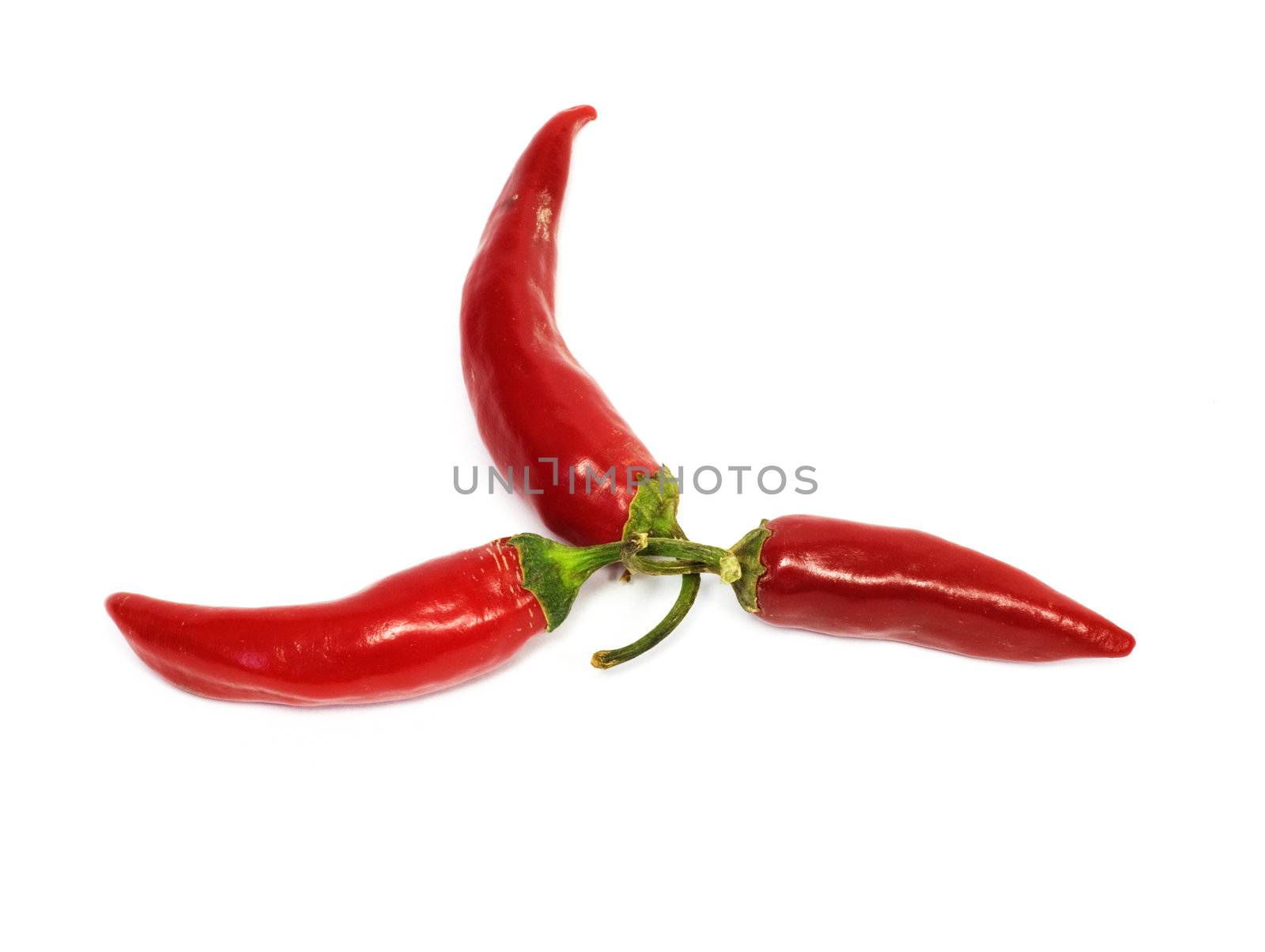 three hot chili peppers  by schankz