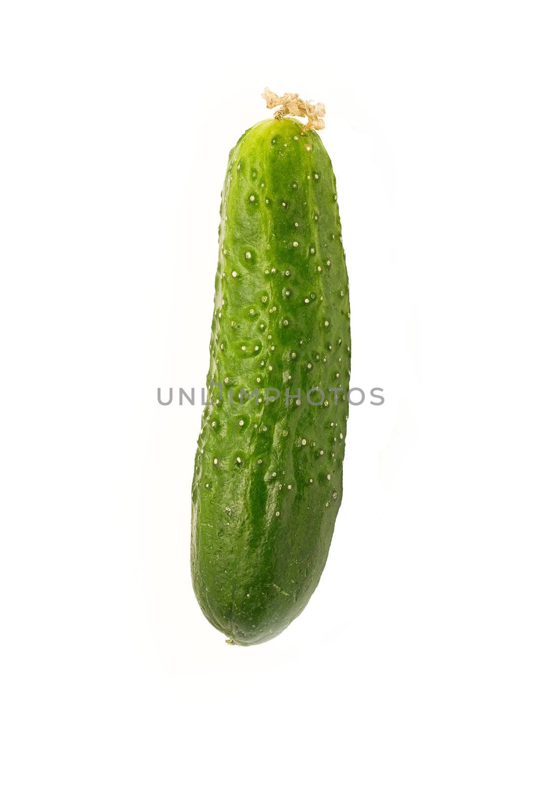  cucumber isolated on white background