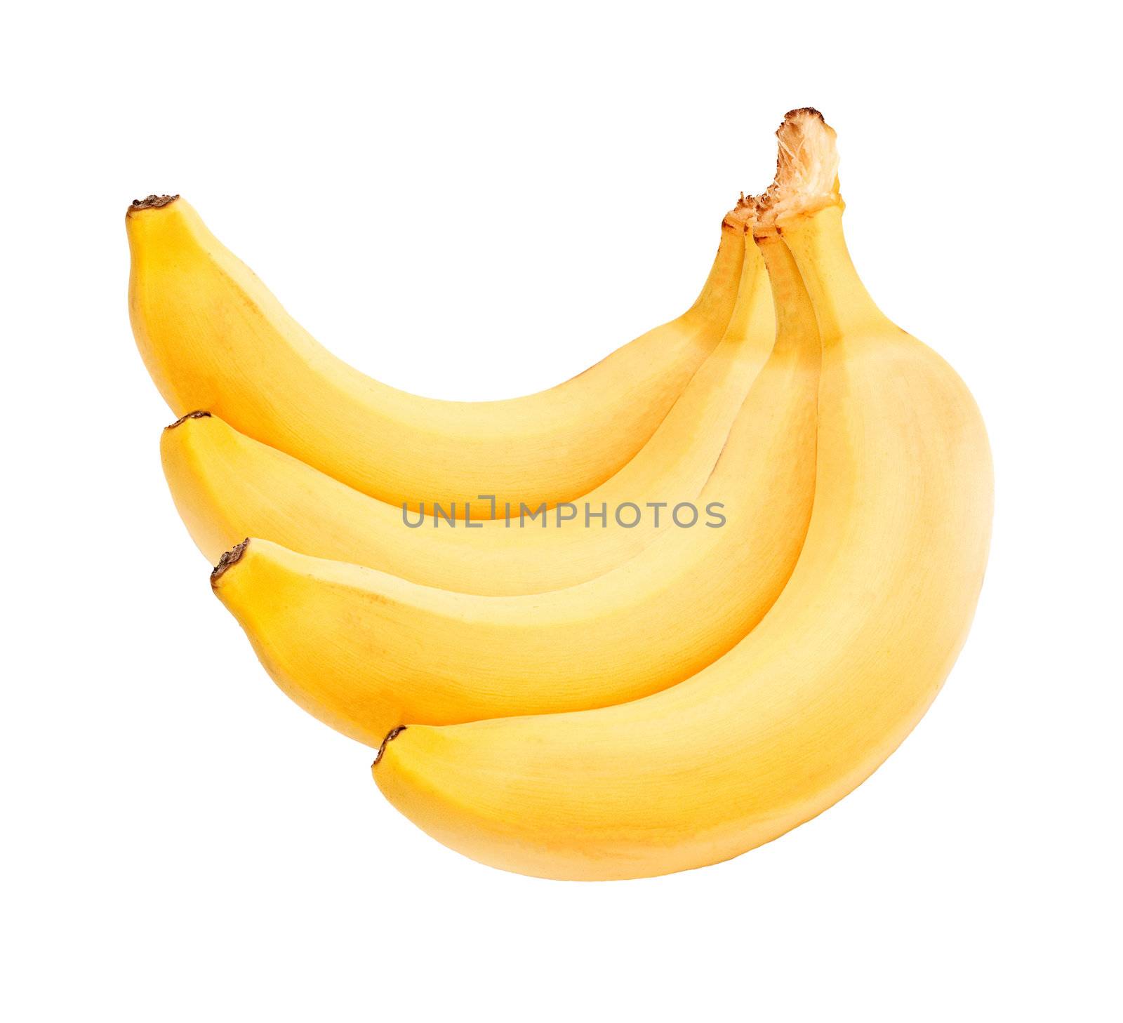 bananas by schankz