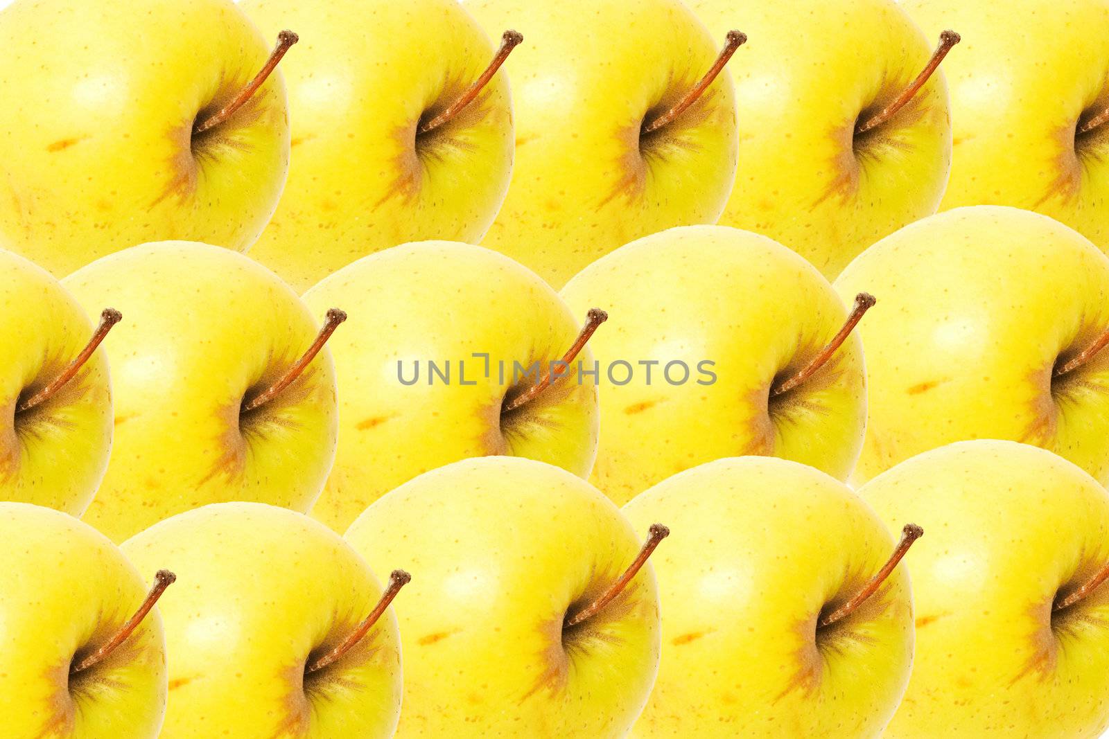 Yellow apples as a background by schankz