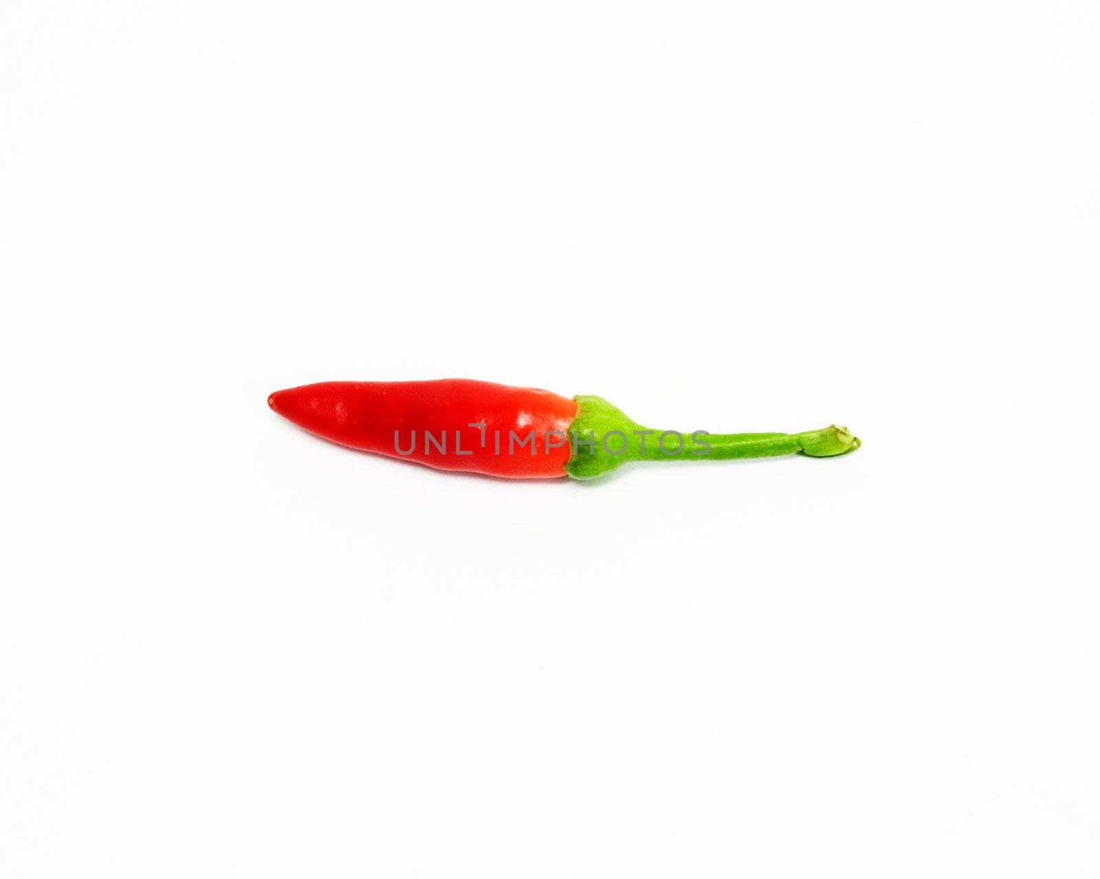 red hot chili pepper  by schankz