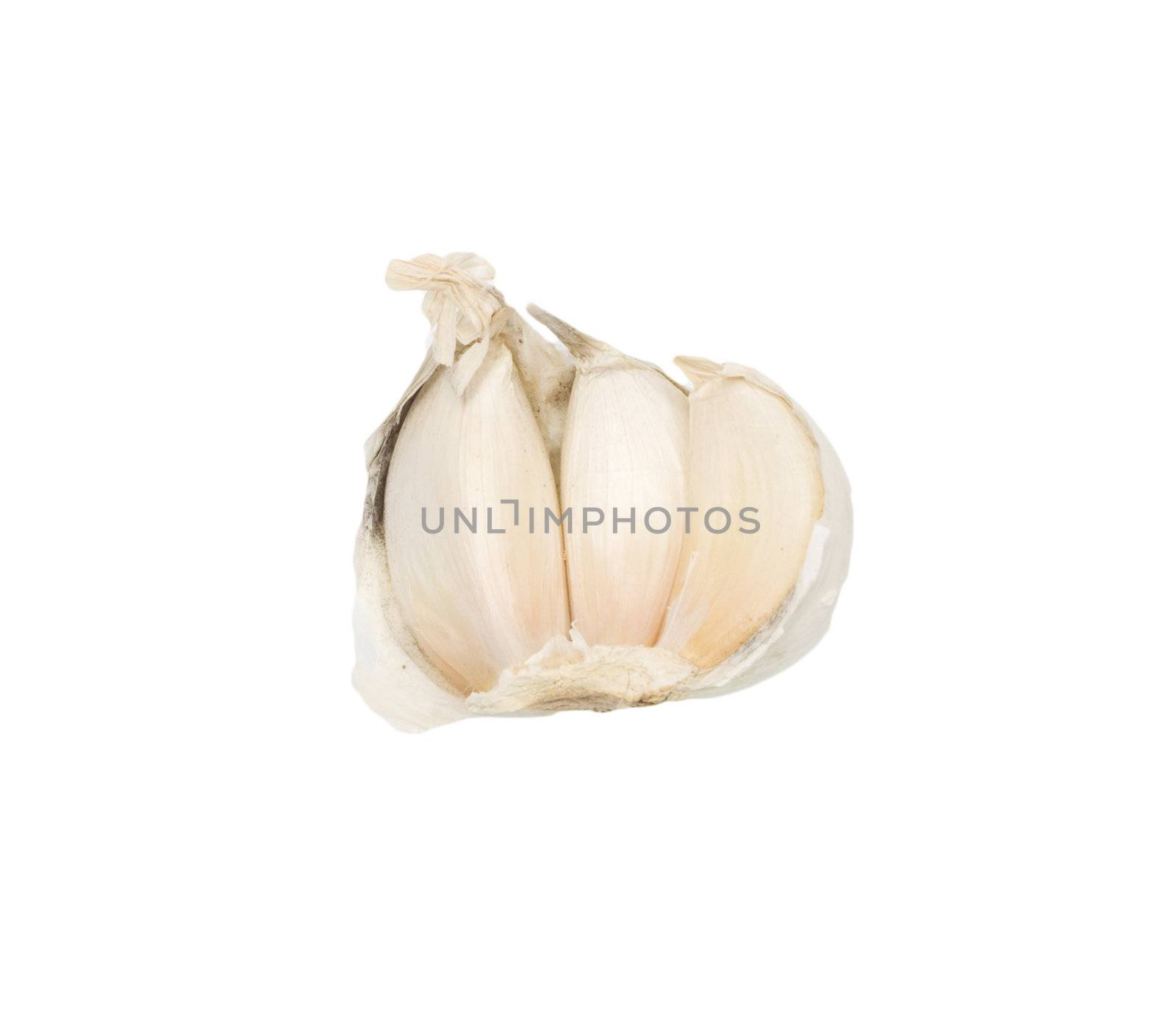 Garlic isolated on white  by schankz