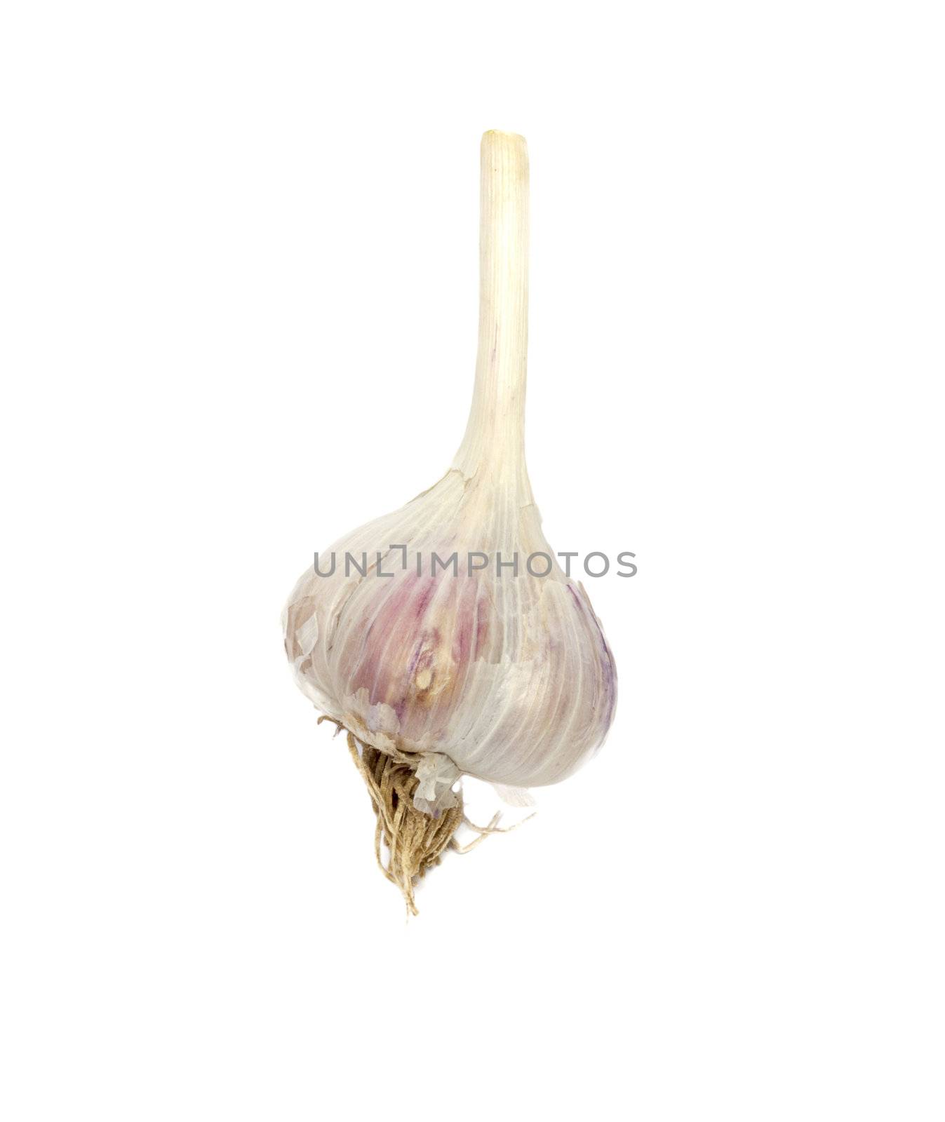 garlic isolated on white background  by schankz