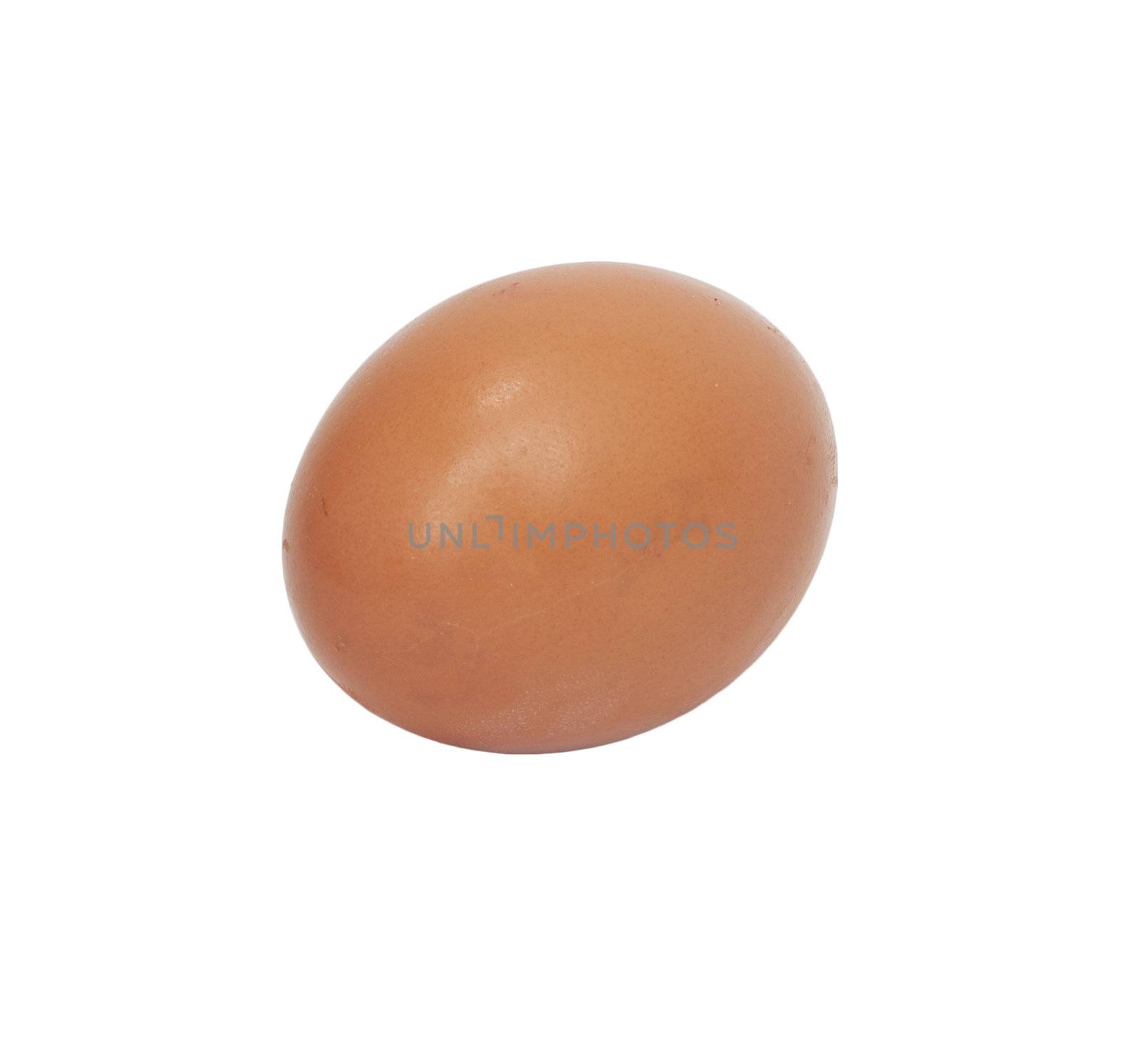 One egg on white background 