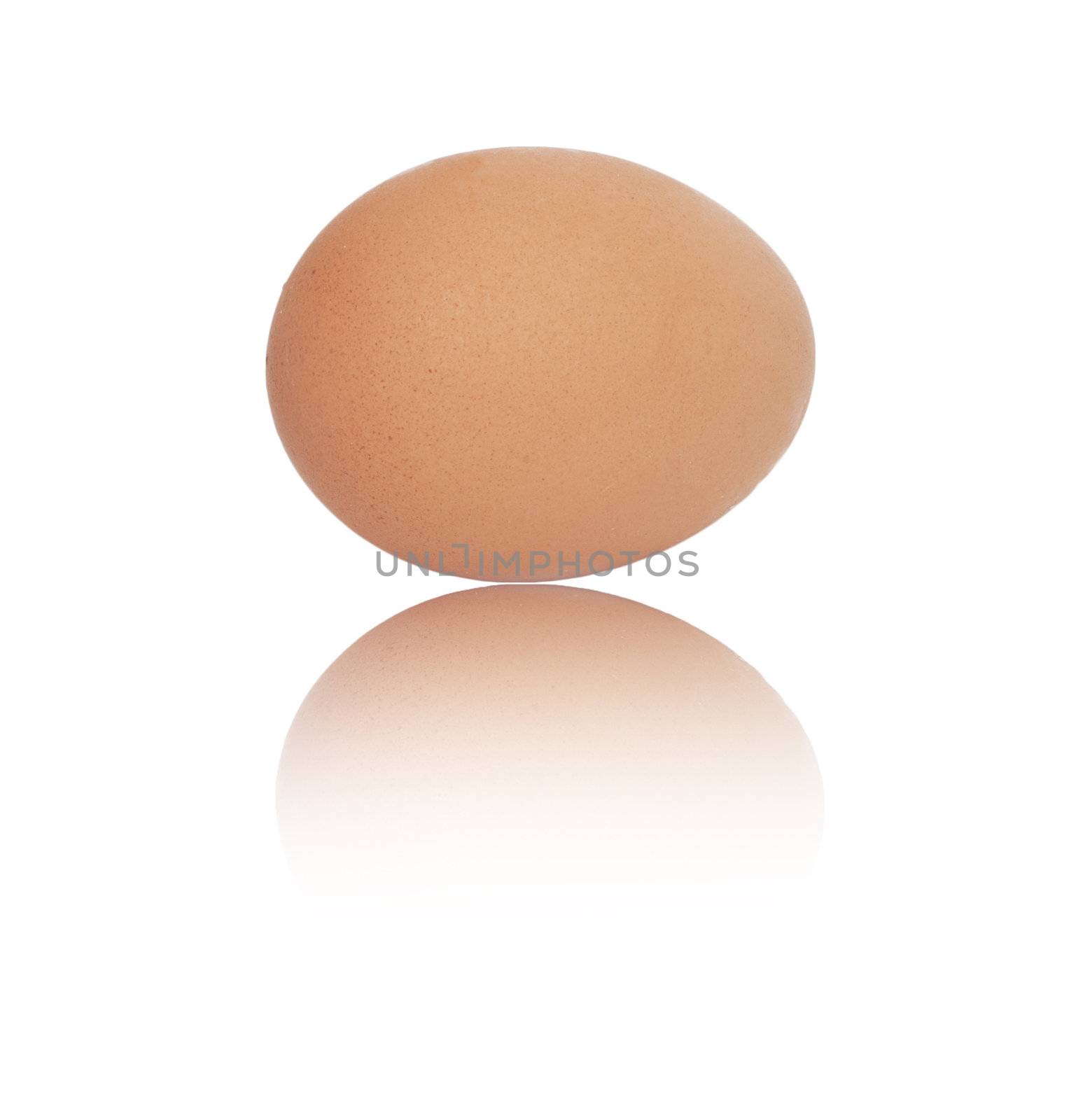 One egg on white background 