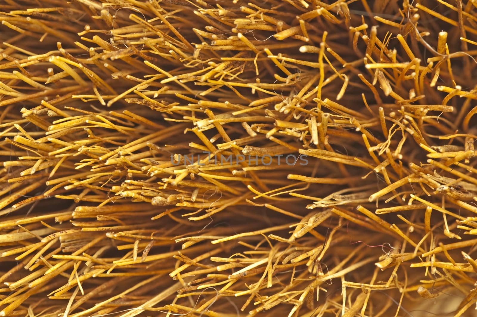 closeup of the bristles of an besom