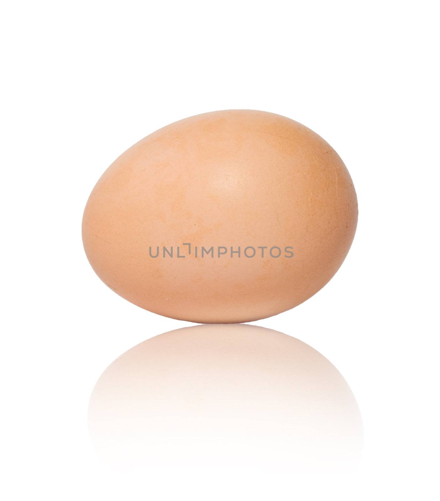 One egg on white background 