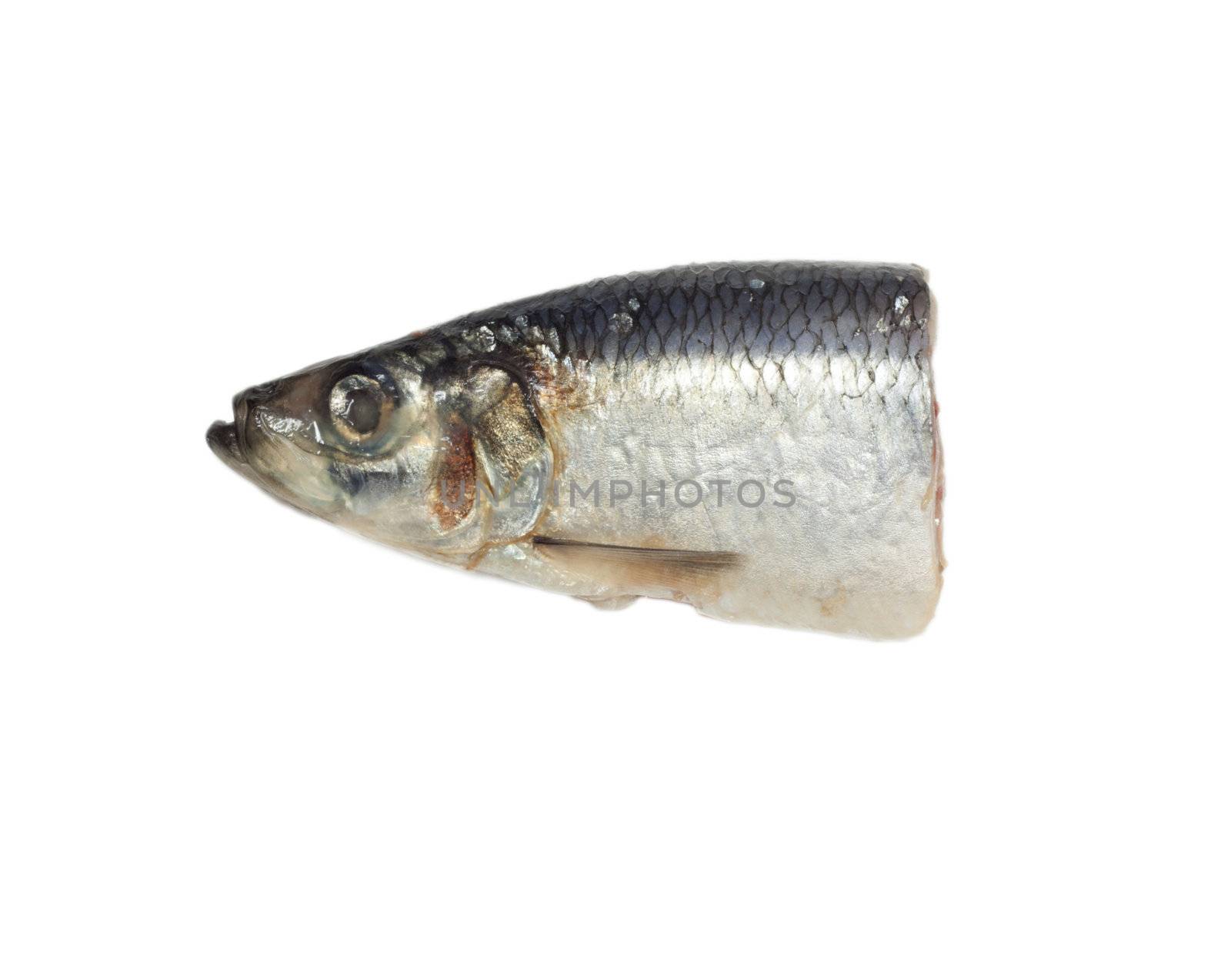 head salty herring on white background 