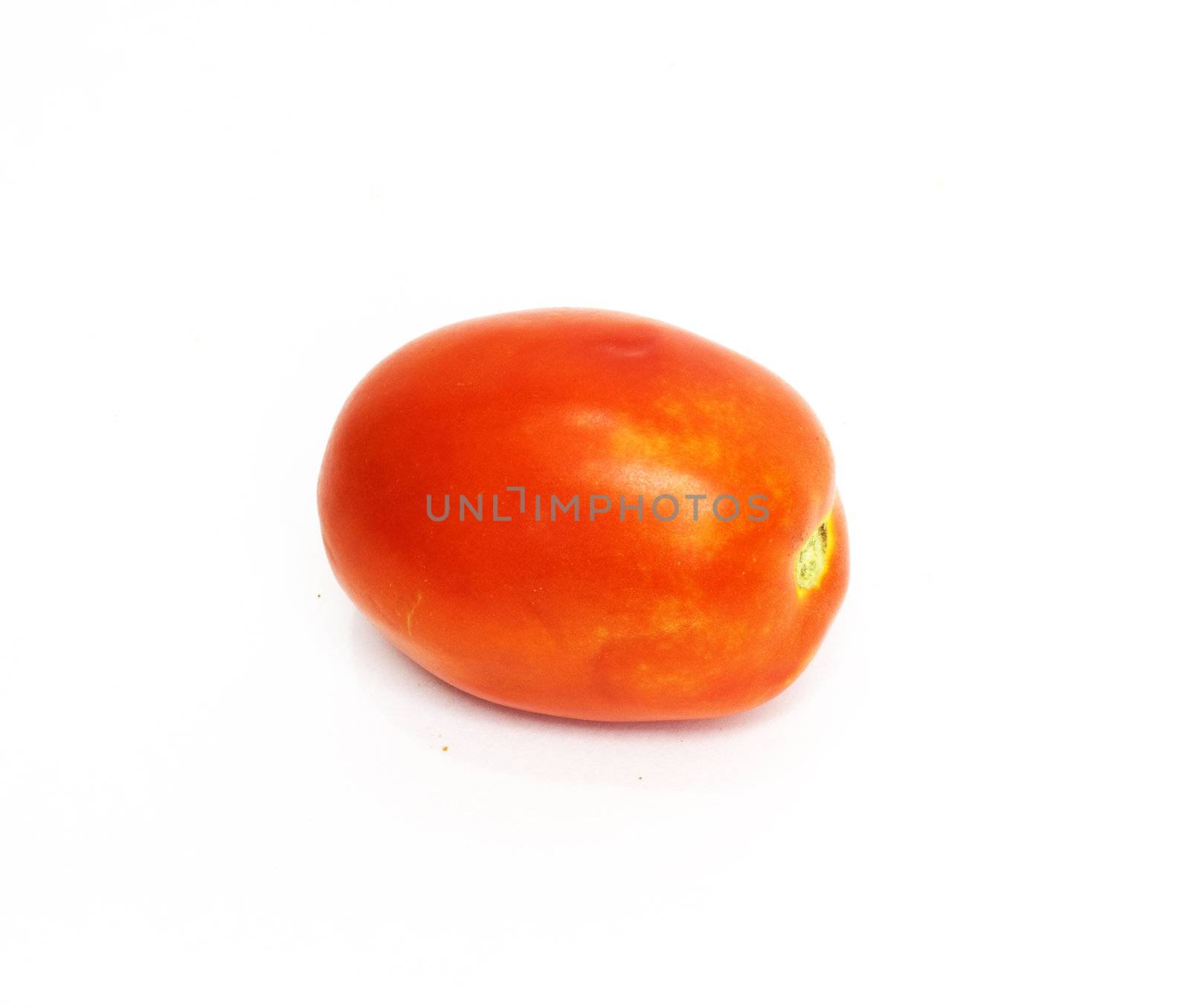 Red Tomato by schankz