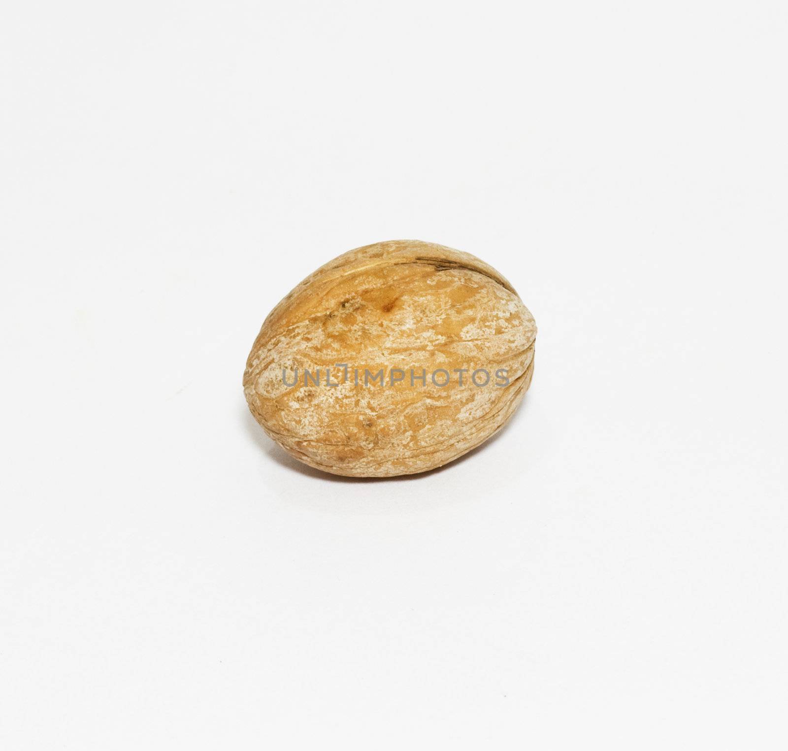 One whole Walnut on white background 