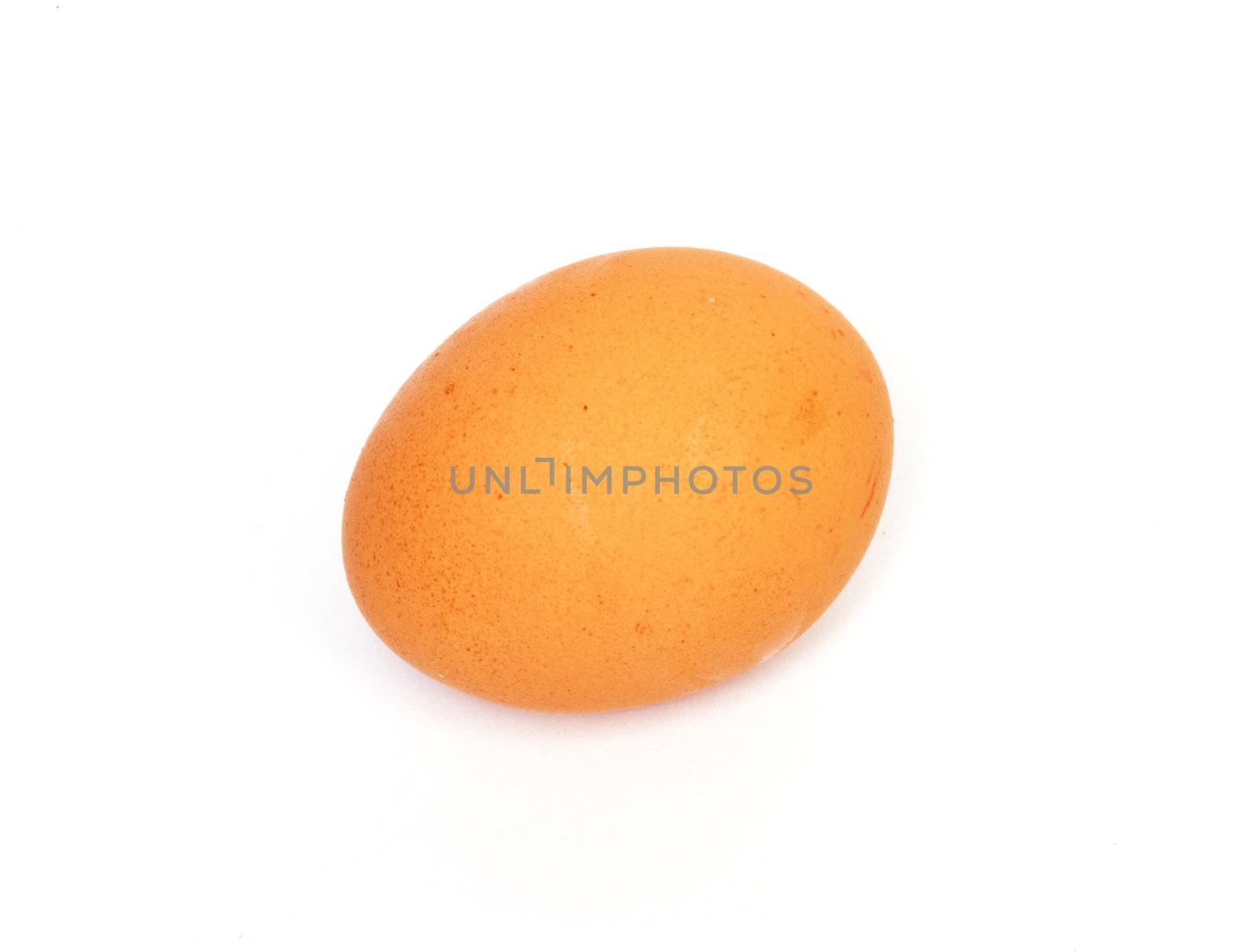 One egg on white background 