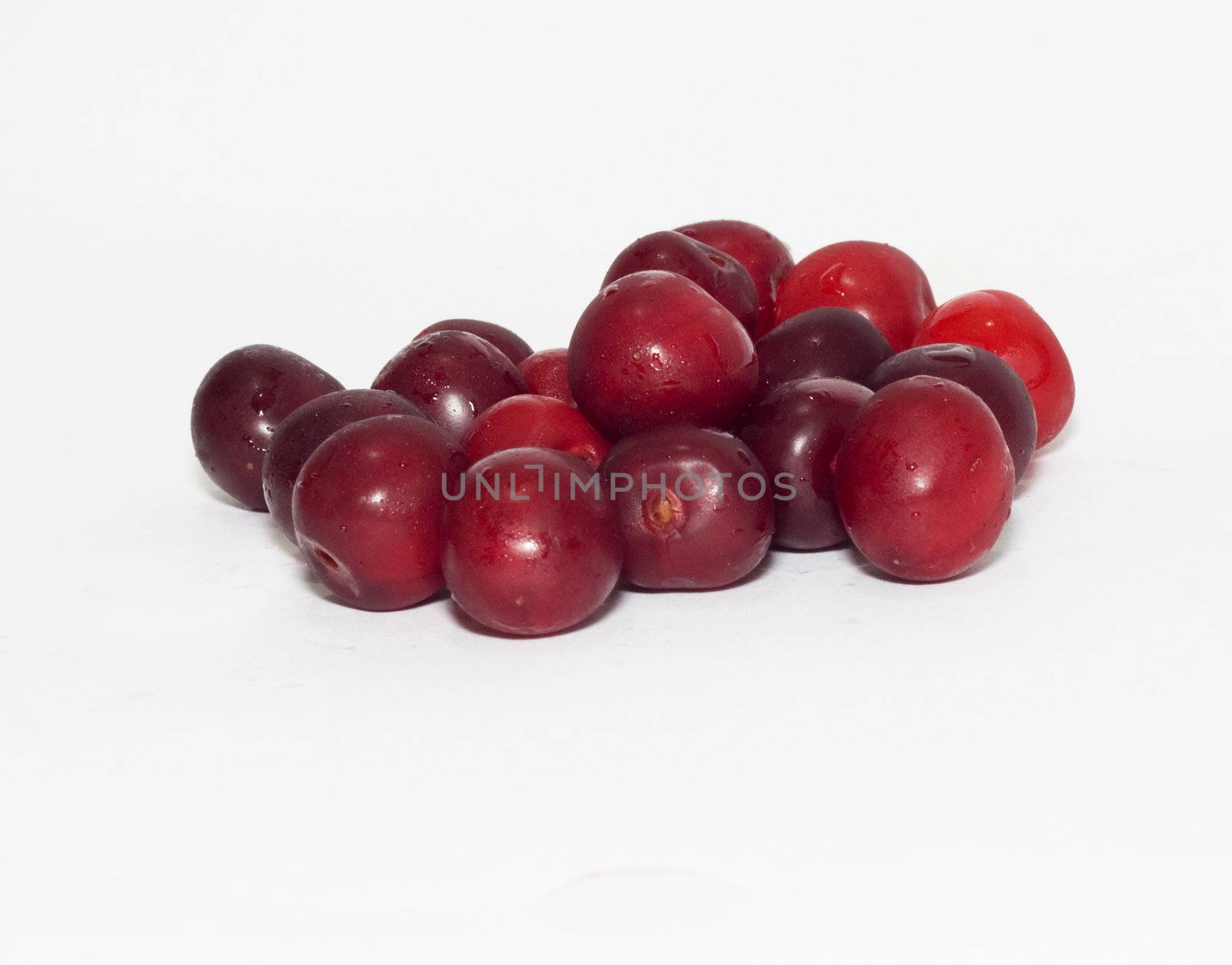 cherries on white background 