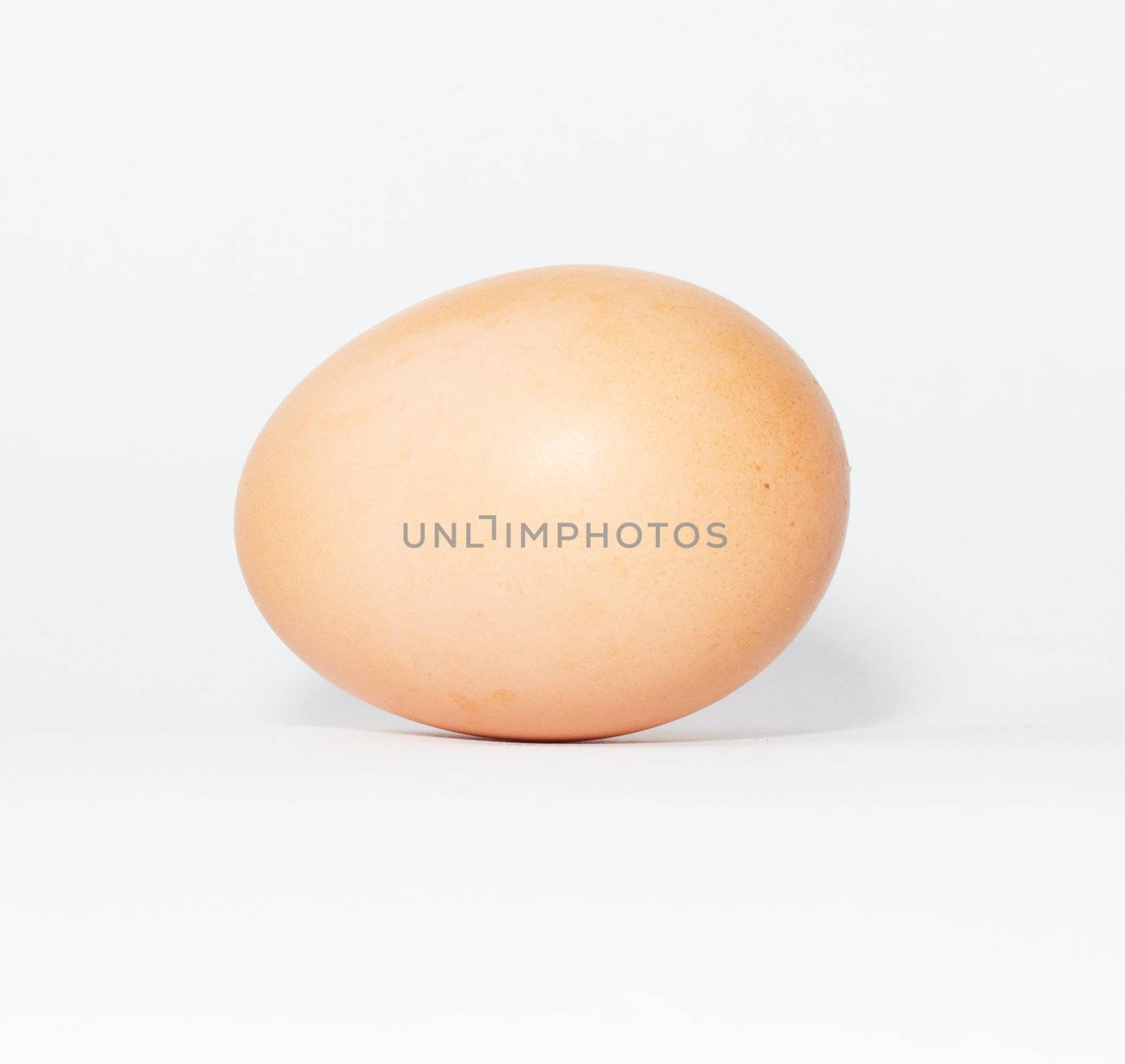 One egg on white background 