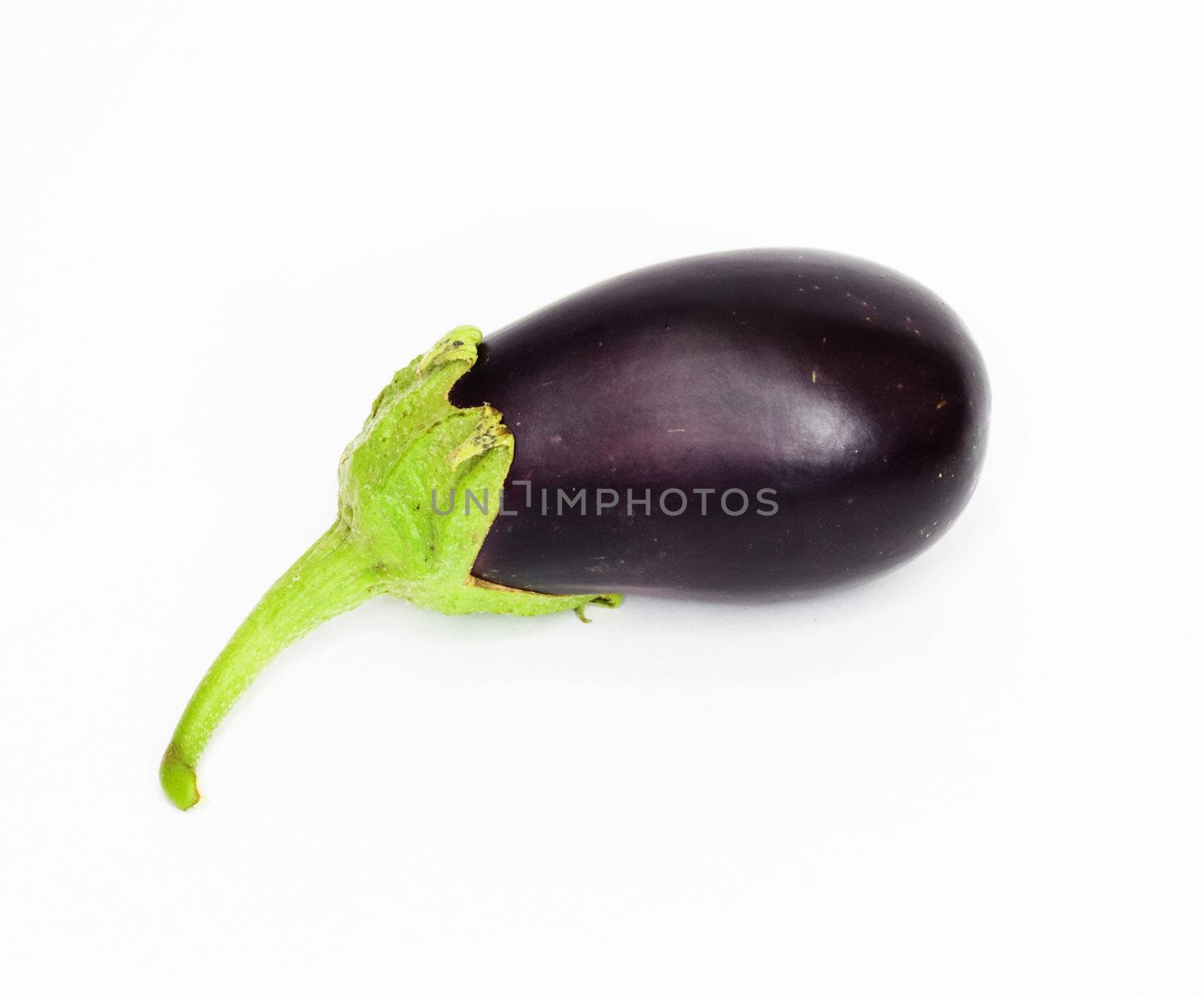 Eggplant on white background 