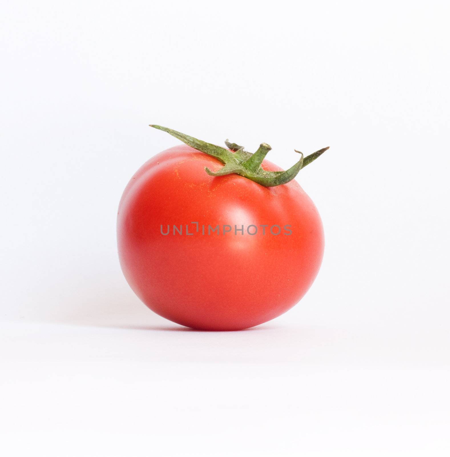 closeup of one red tomato on white background 