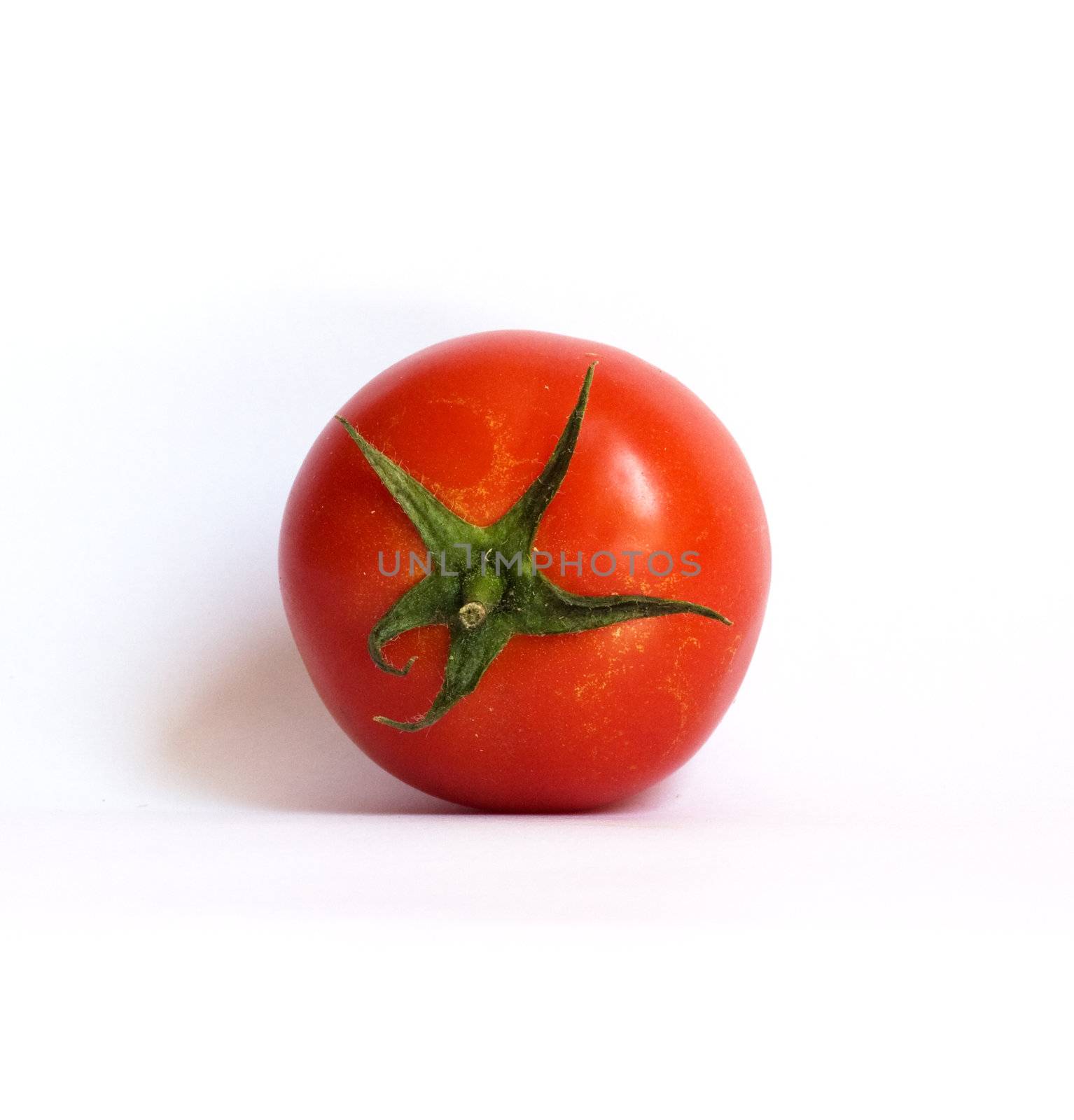 closeup of one red tomato on white background 