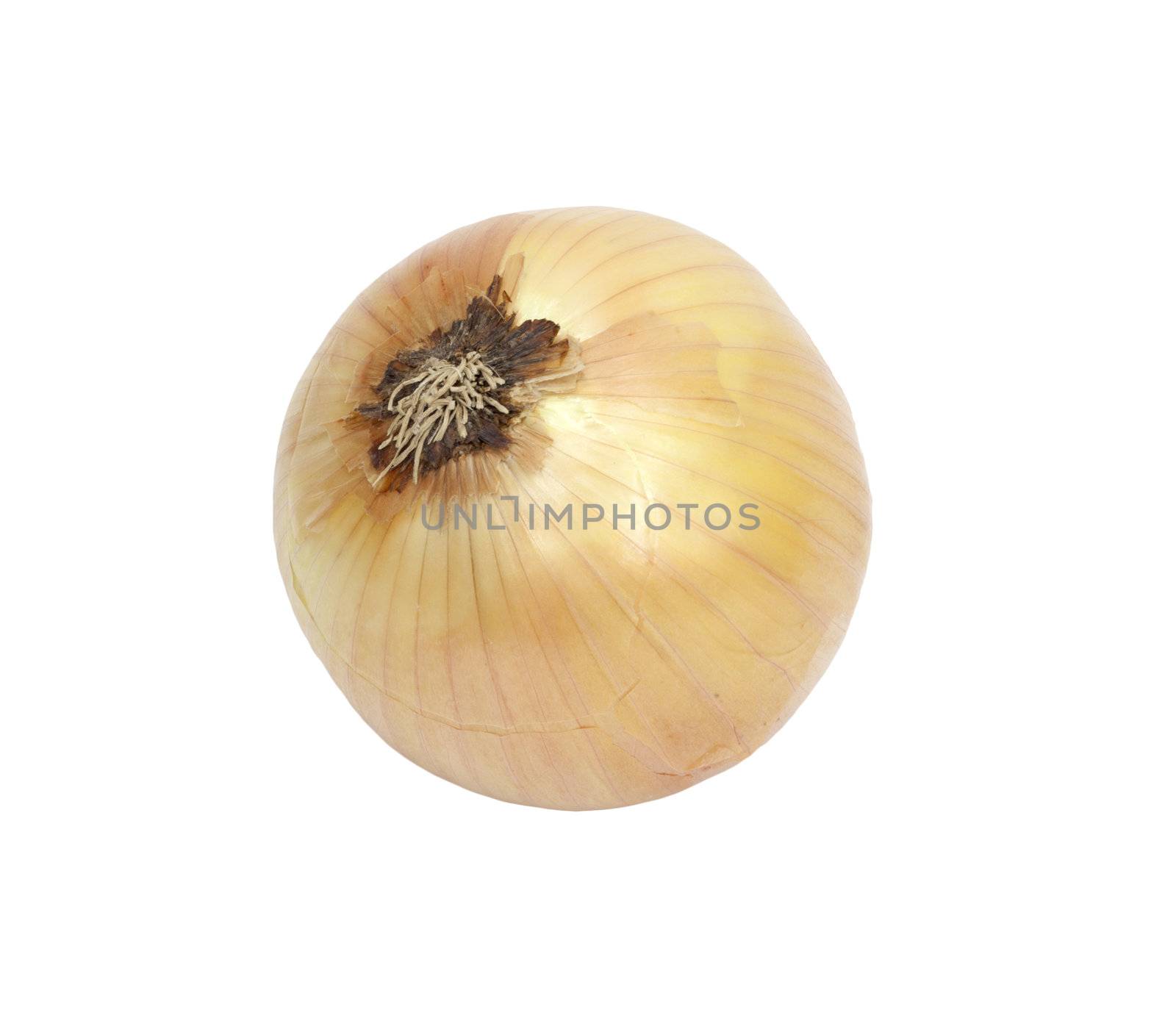 Ripe onion on a white background 