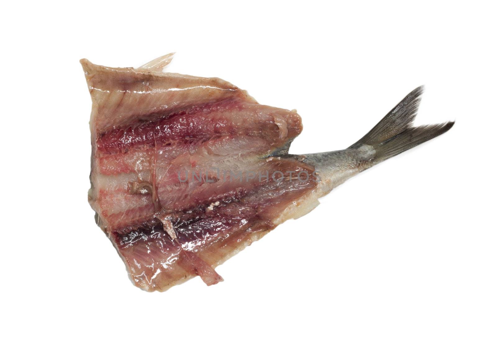 Salted herring isolated on the white background 