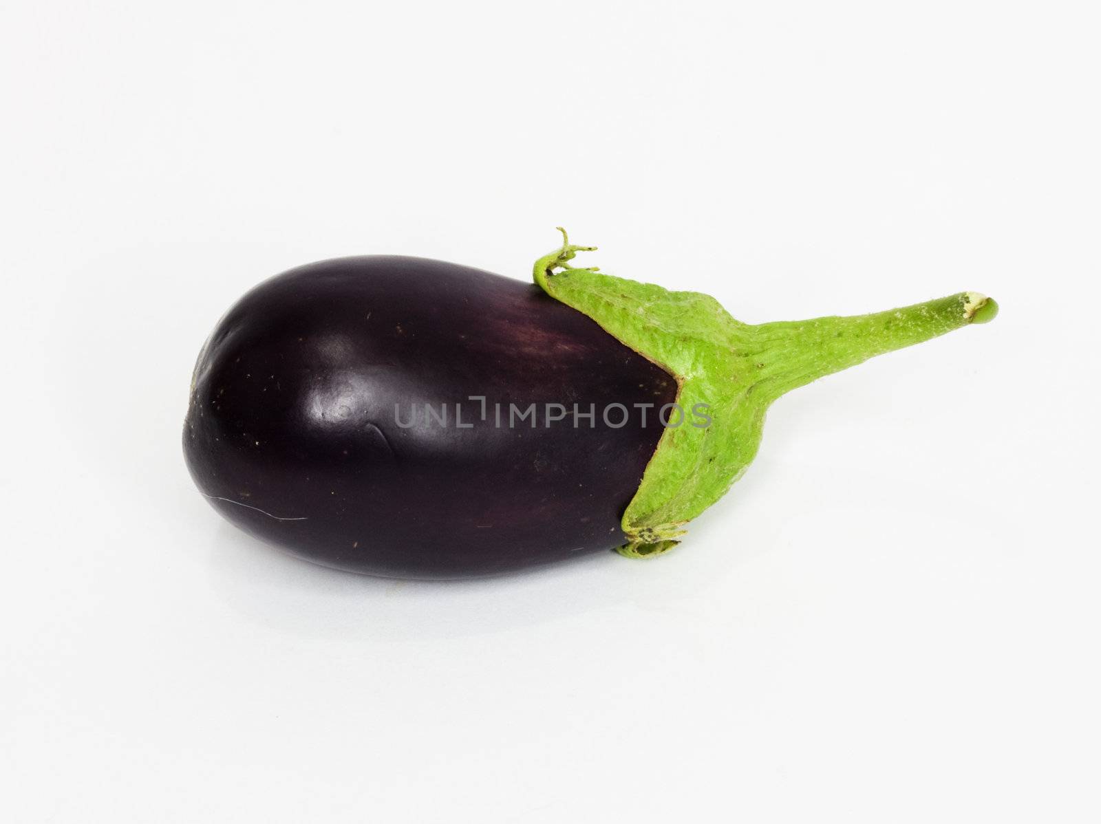 Eggplant on white background  by schankz