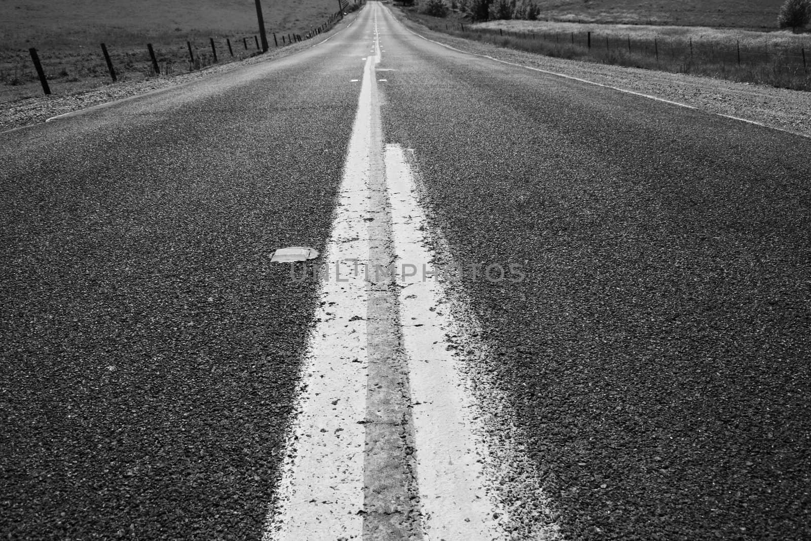 Infinite road in a park on a sunny day.