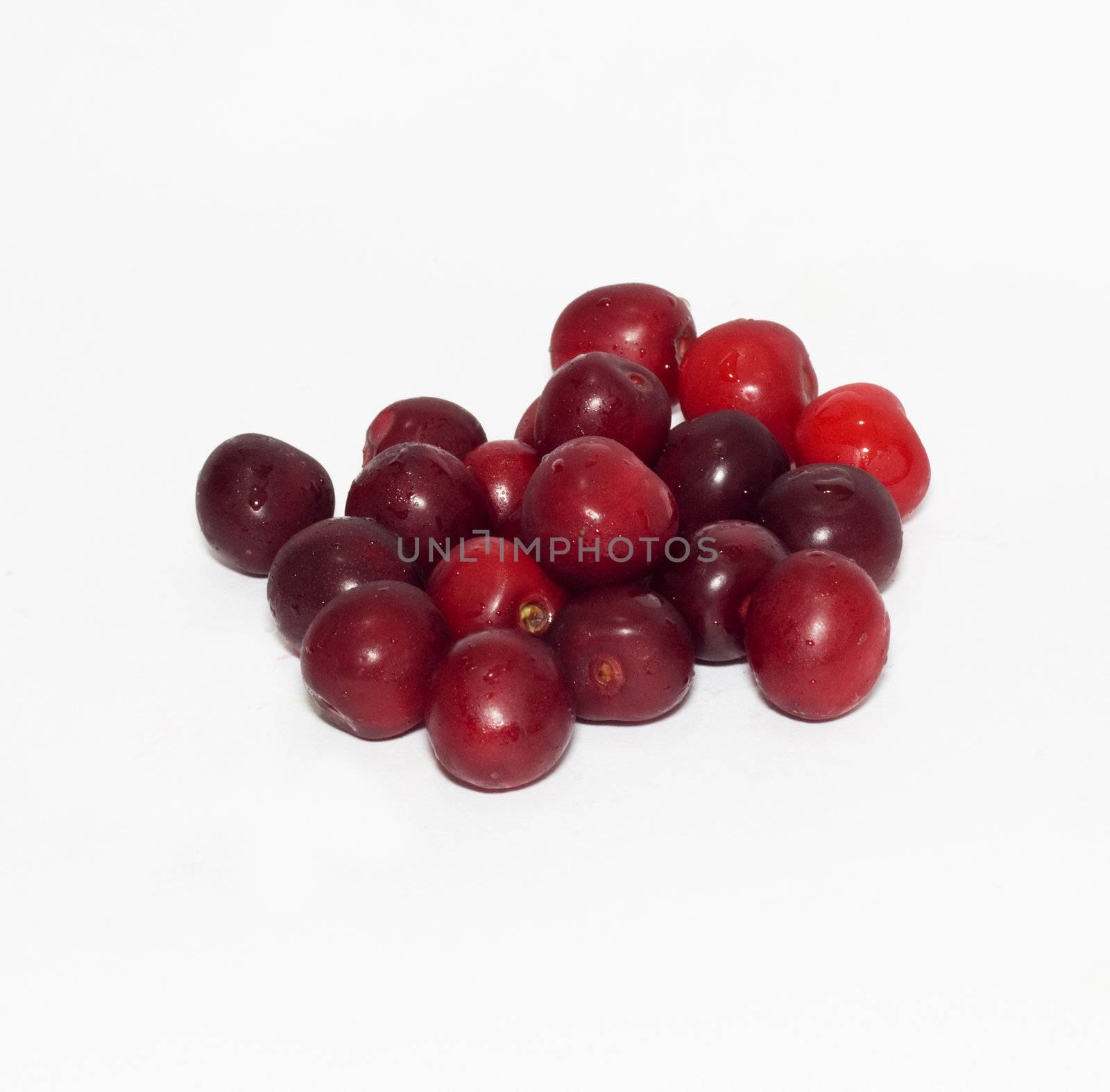 cherries on white background