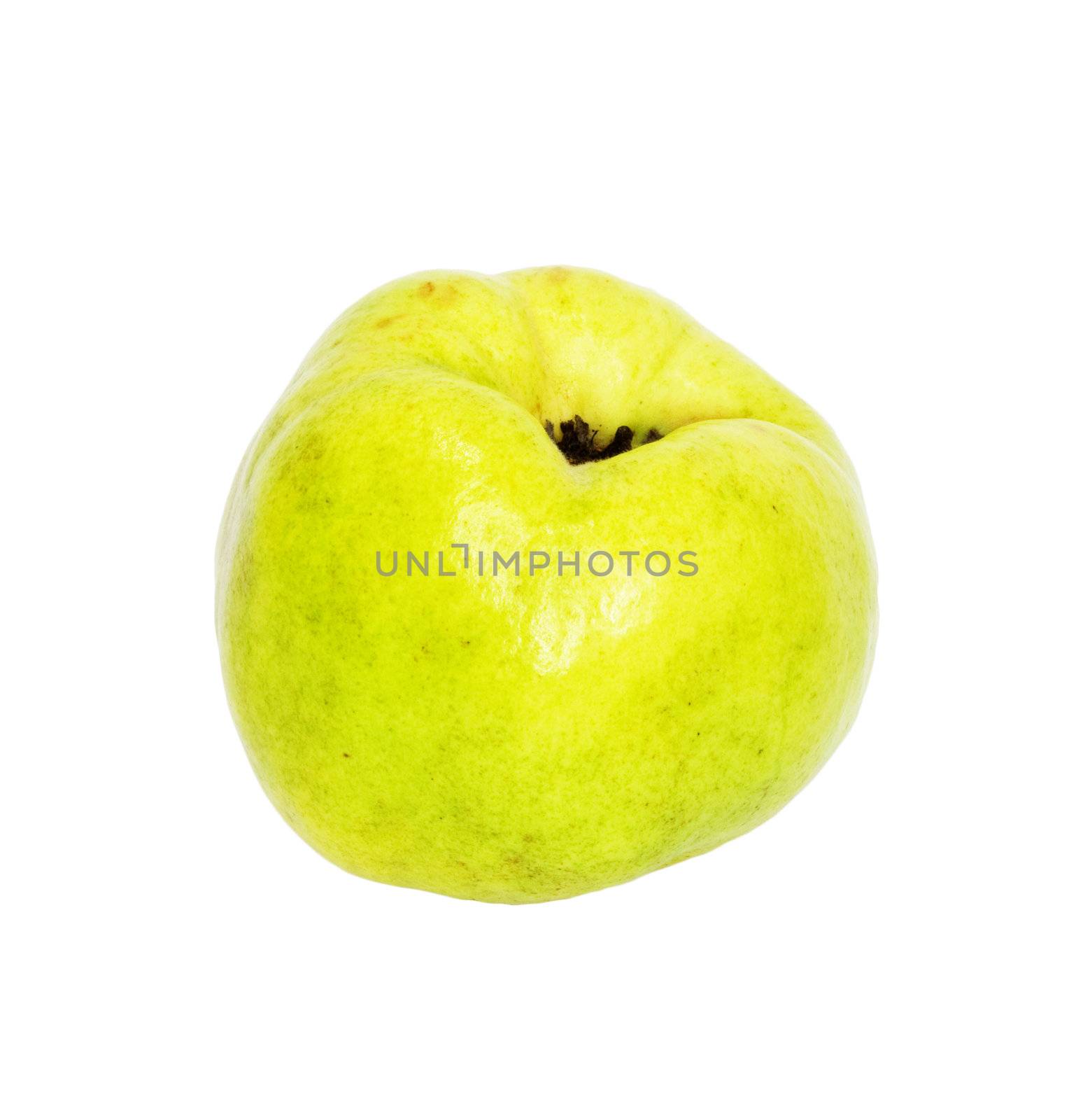 Quince (golden apple) isolated on white background 