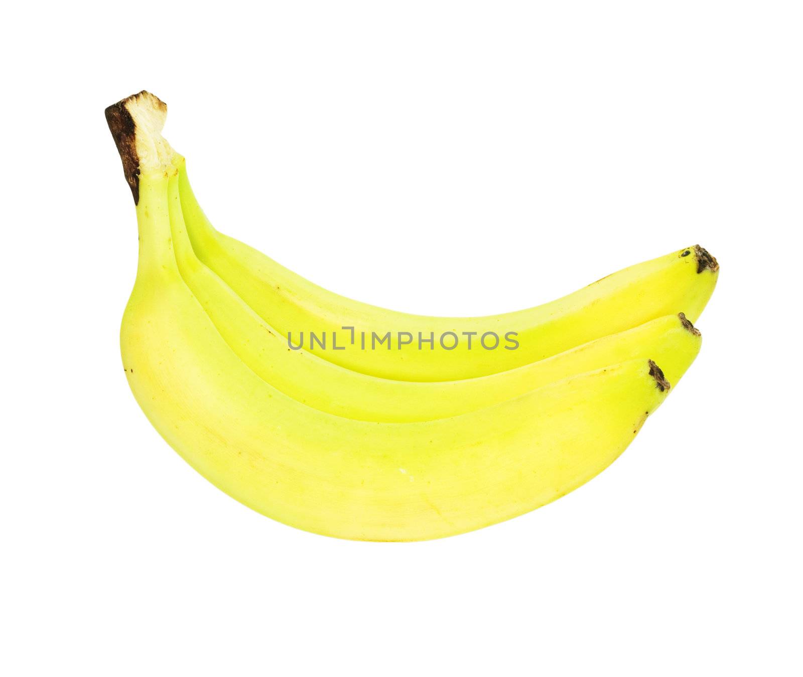 tree bananas isolated on white 