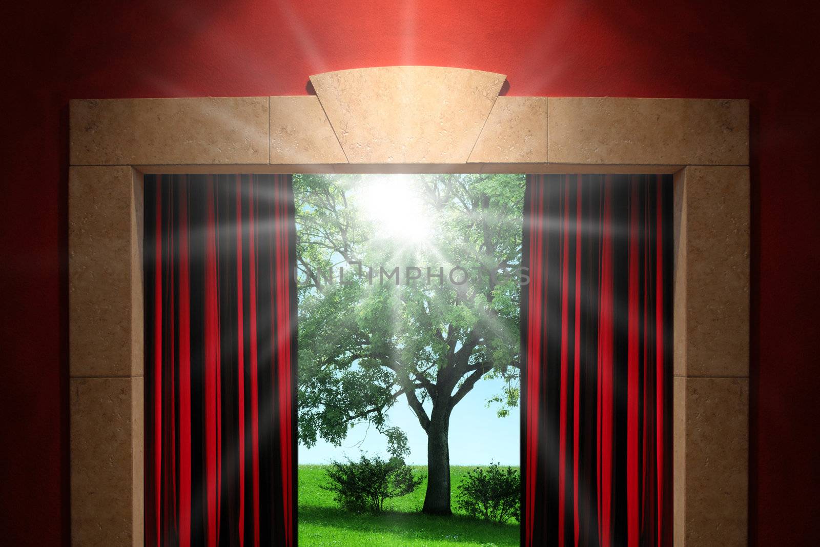 Stage or window with green nature background