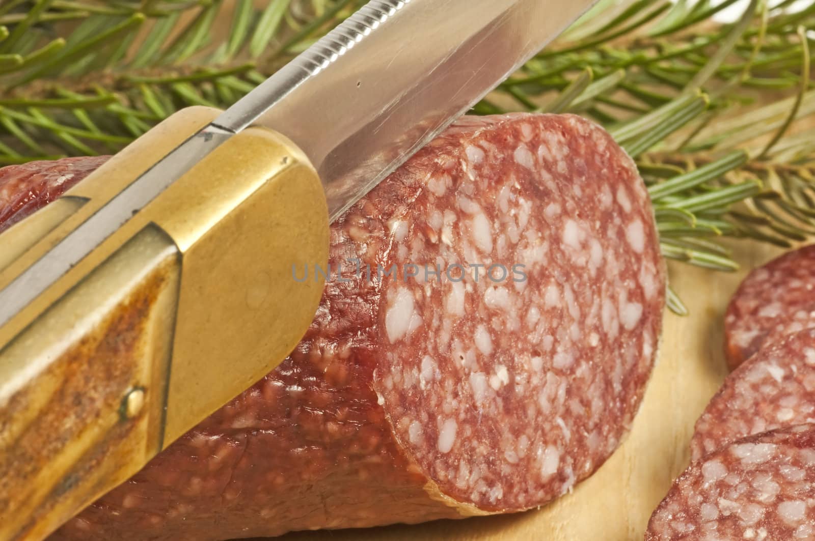 salami of deer