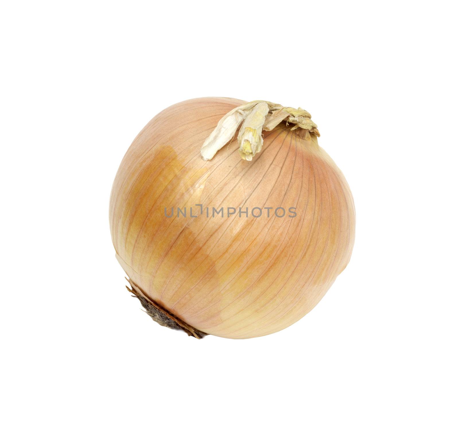 Ripe onion on a white background 