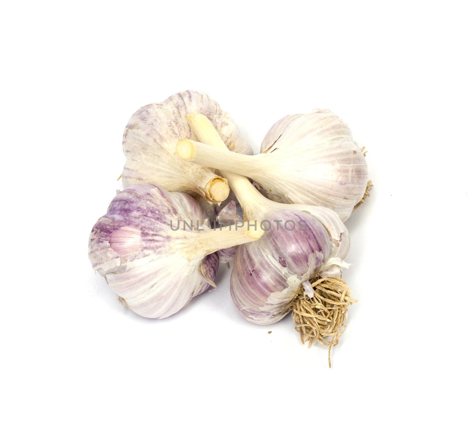 garlic isolated on white background  by schankz