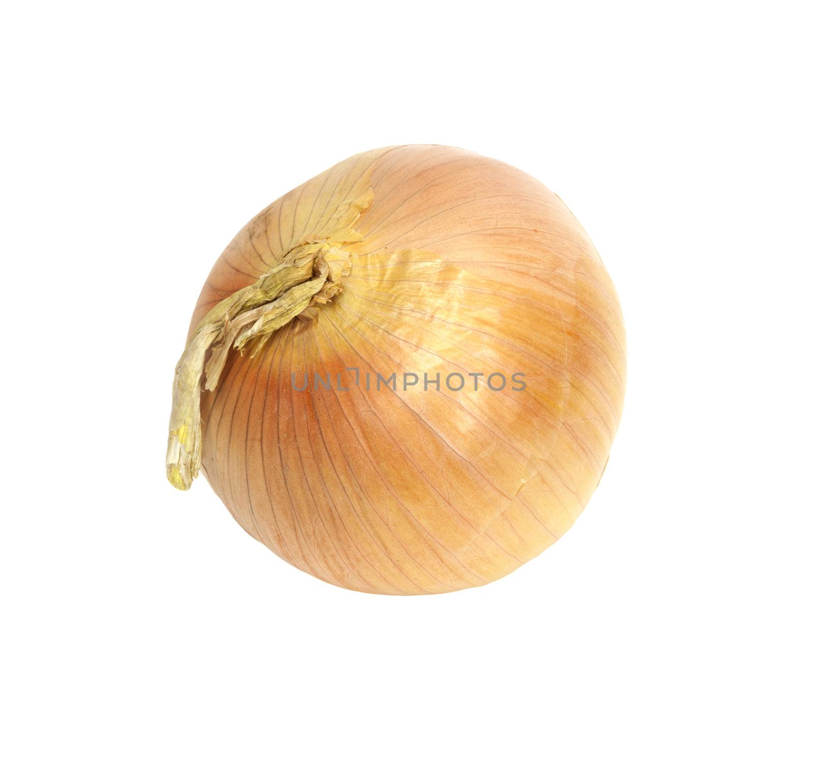 Ripe onion on a white background 