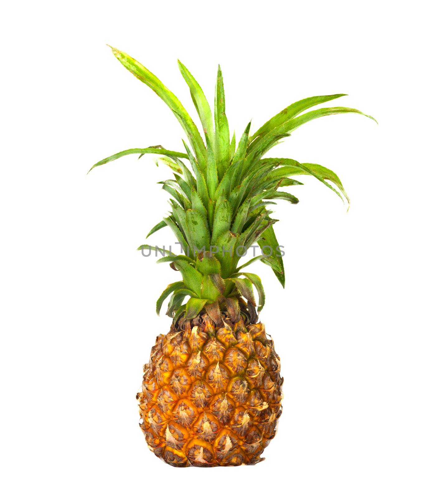 ripe pineapple isolated on white  by schankz