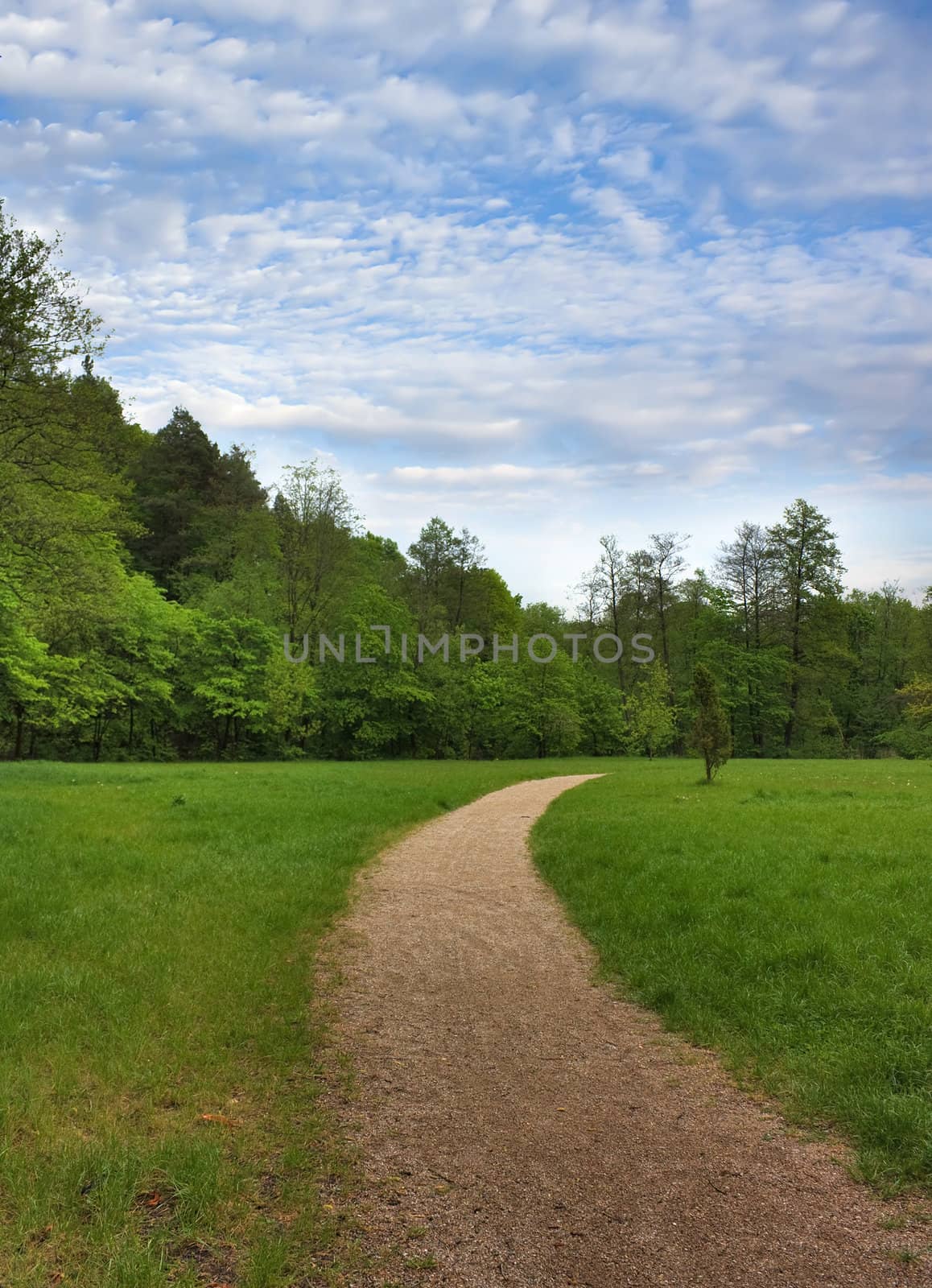 trail in the park, spring