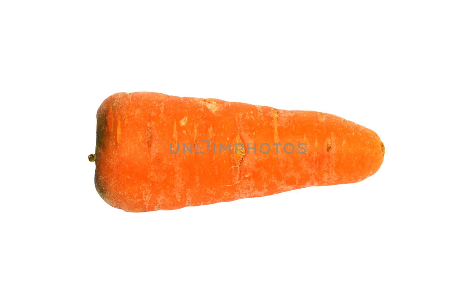 Fresh Carrot Isolated on a White Background 