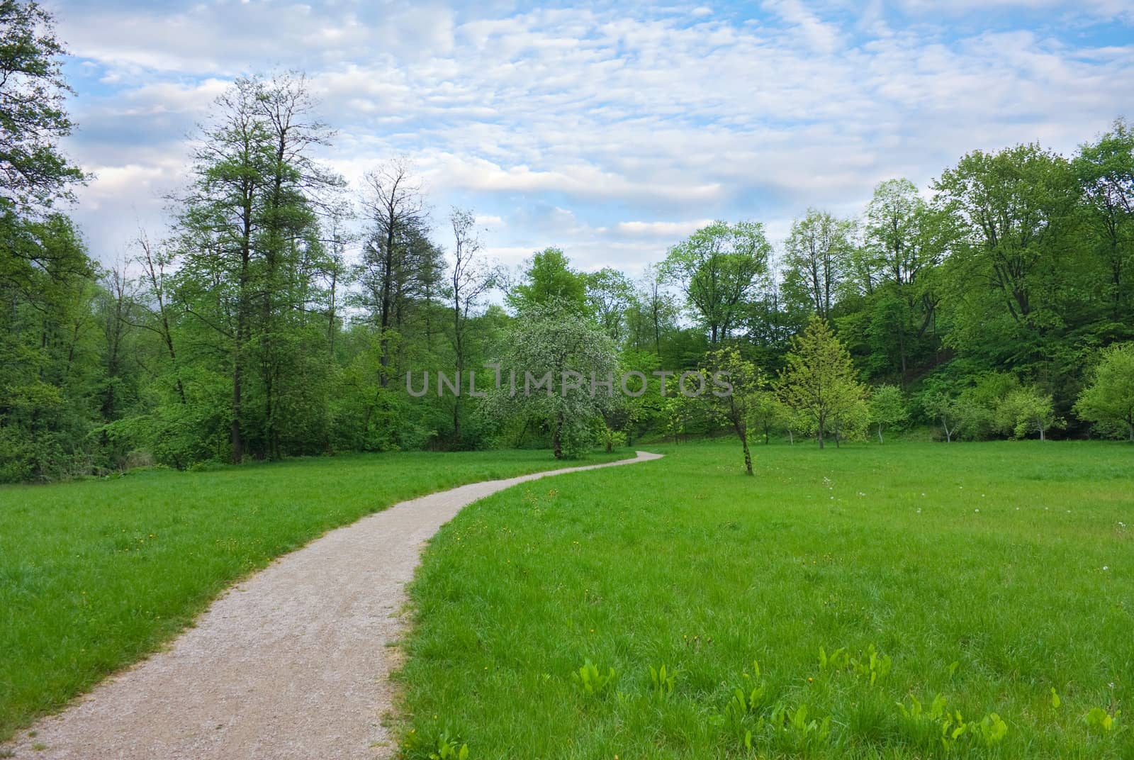 trail in the park, spring