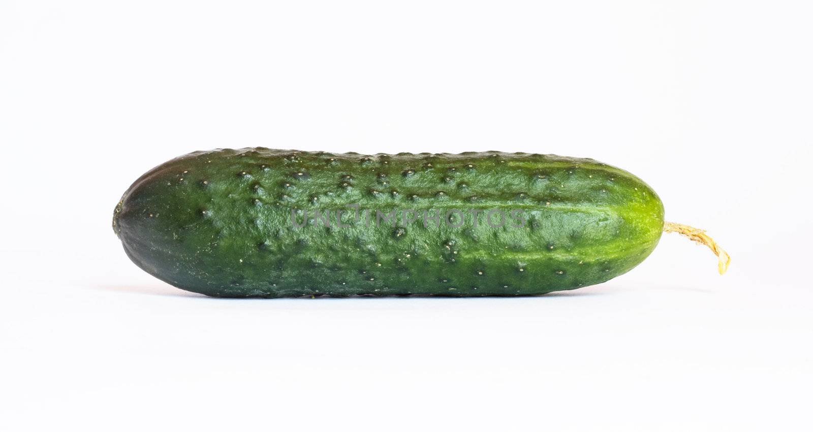 Single cucumber, isolated over white 