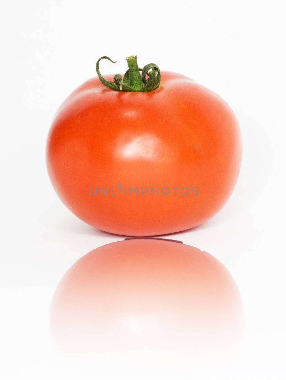 one tomato by schankz